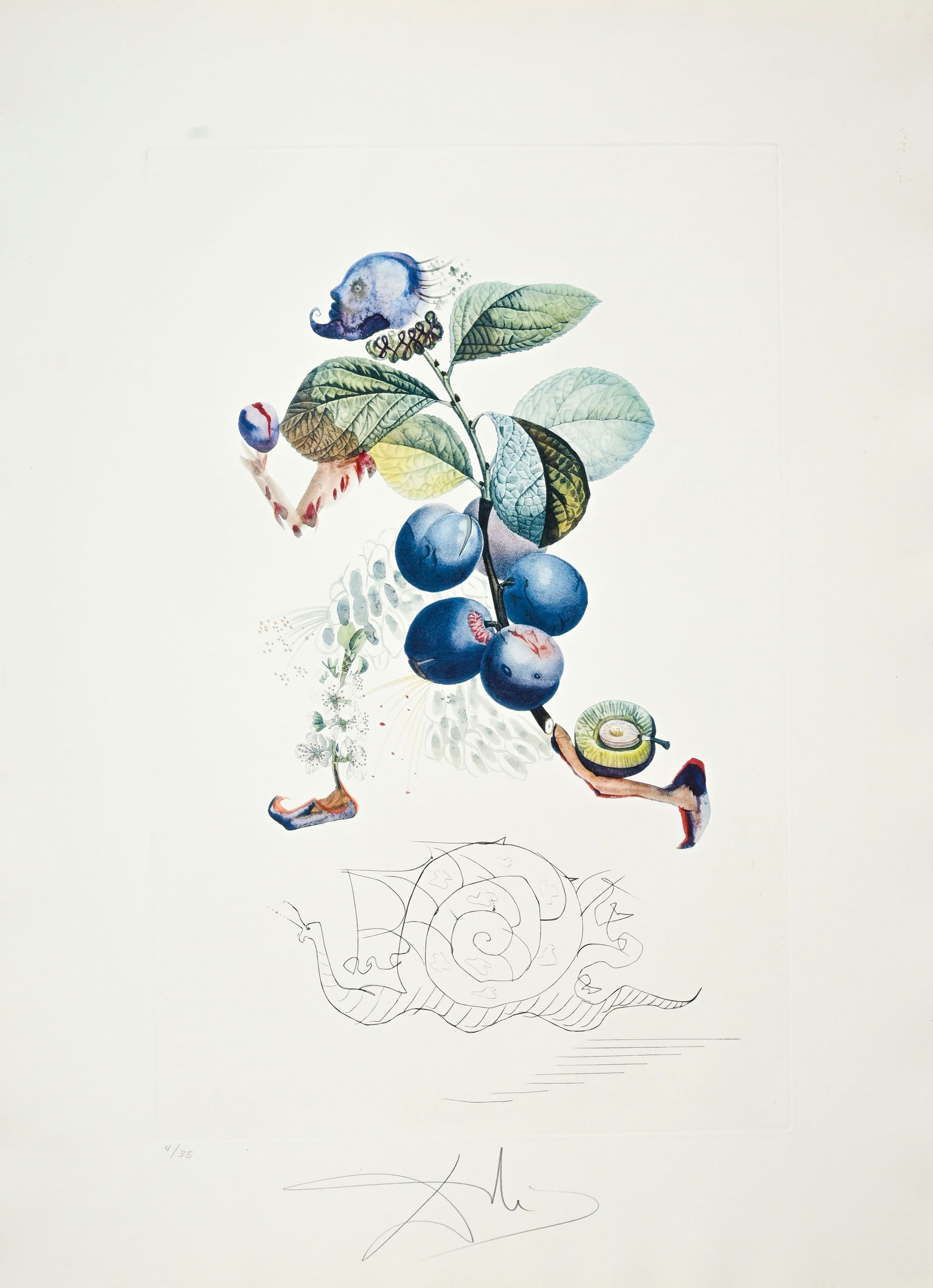 Salvador Dali (1904-1989), "FlorDali - Les Fruits", 1969, 10 pointes-sèches et lithographies en - 5