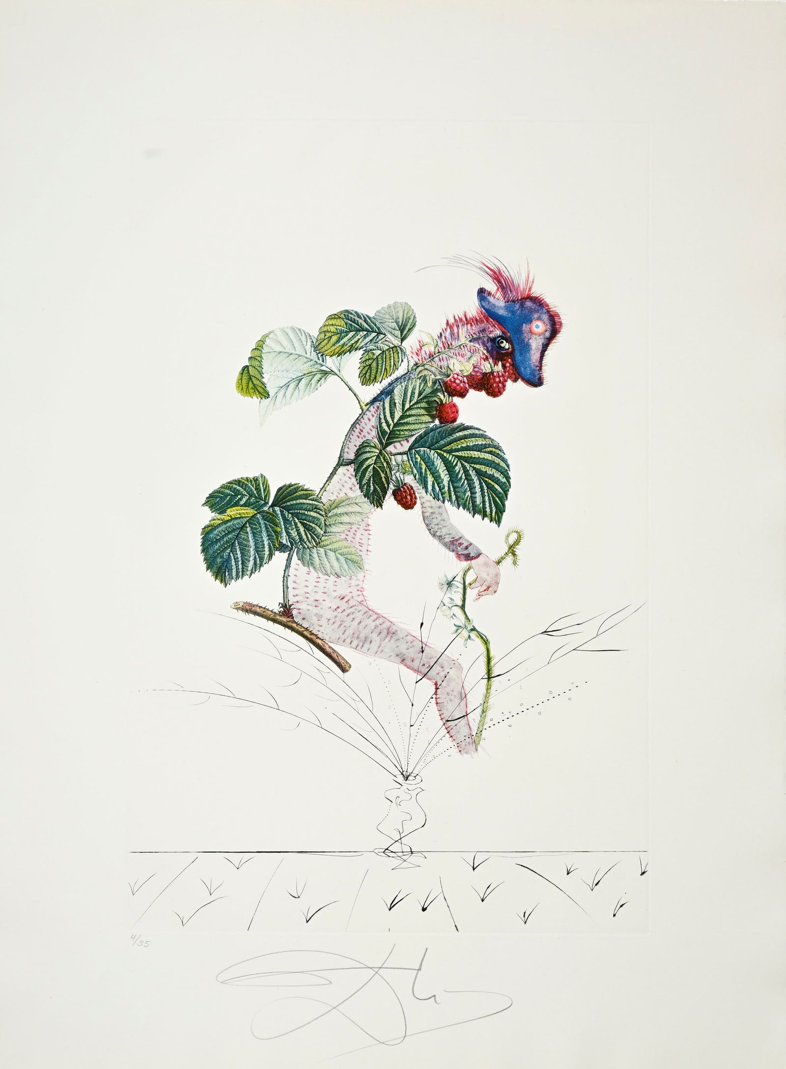 Salvador Dali (1904-1989), "FlorDali - Les Fruits", 1969, 10 pointes-sèches et lithographies en - 9