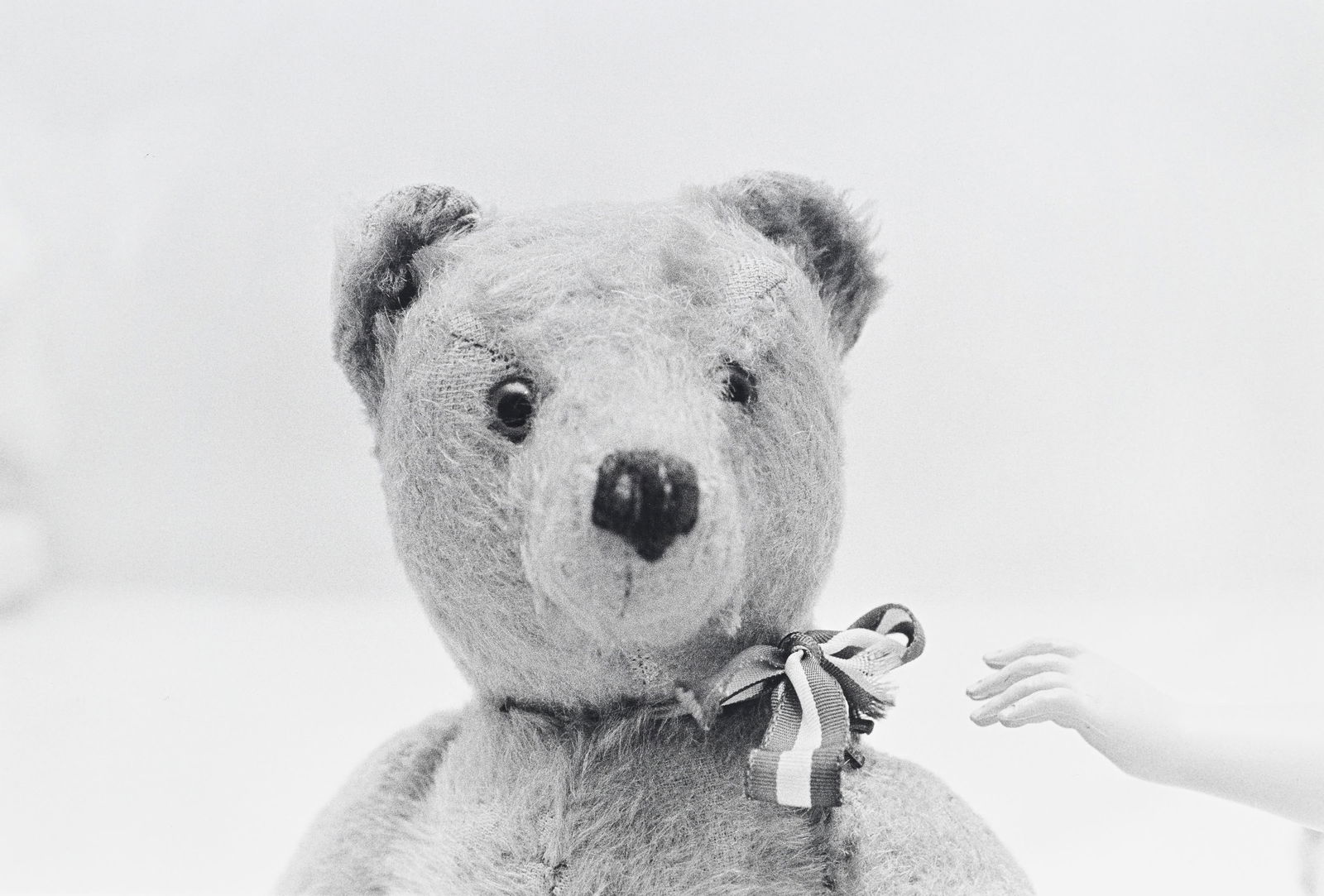 Judy Linn (1947), "Sans titre (Bear, Birds, 70's/90's, Winter, Fish)", 1989-1995, ensemble de 6 tira: Judy Linn (1947), "Sans titre (Bear, Birds, 70's/90's, Winter, Fish)", 1989-1995, ensemble de 6 tirages argentiques, éd.12 ex., signés, 5 datés, 5 numérotés et titrés au