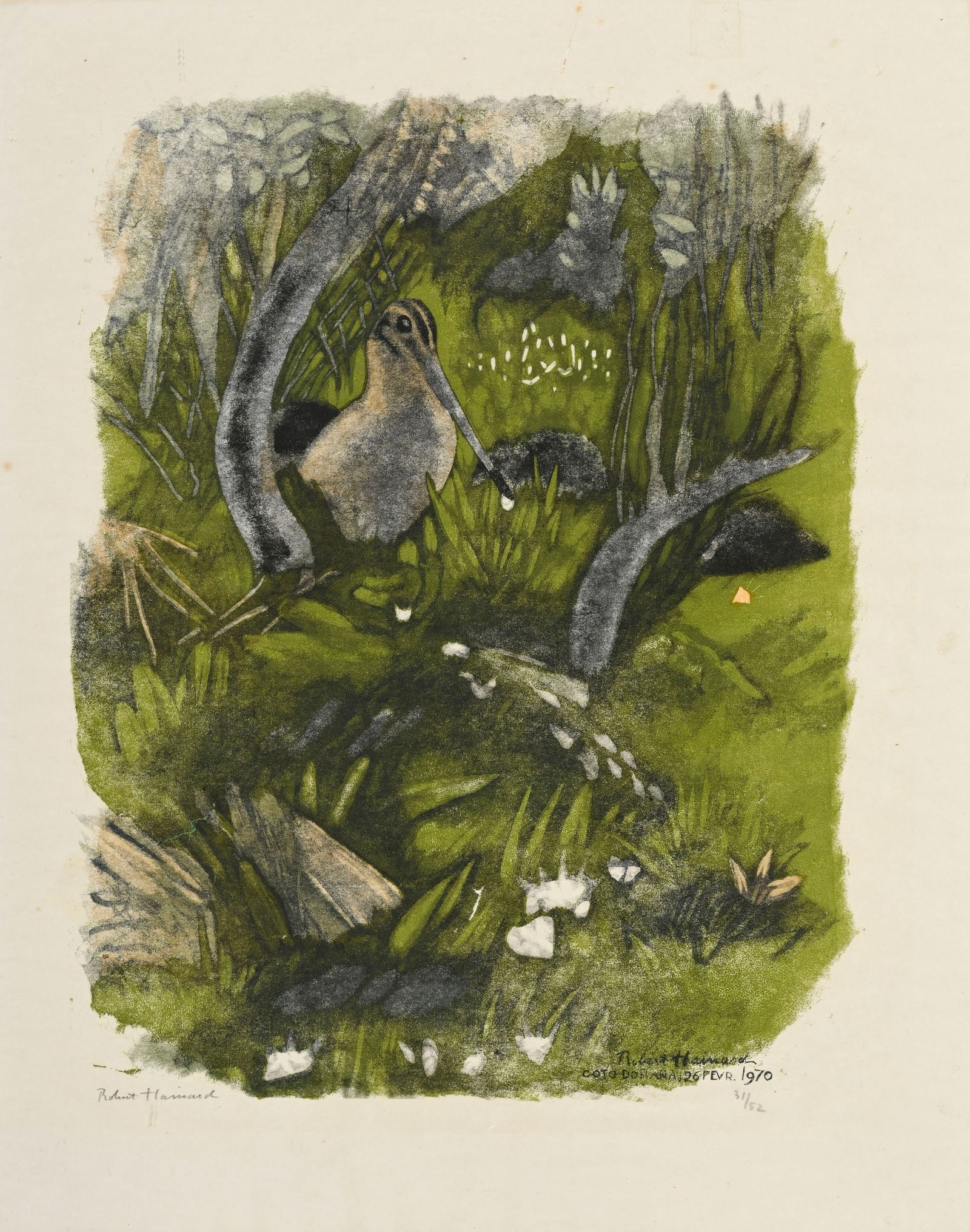 Robert Hainard (1906-1999), "Bécassine sous les ajoncs", 26 février 1970, bois gravé, (1 of 6)