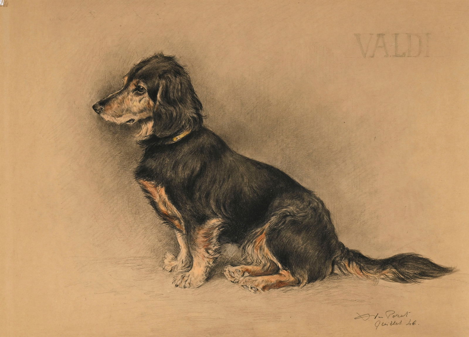 Xavier de Poret (1894-1975), "Portrait de teckel, Valdi", 1946, fusain, crayon de couleurs et aquare (1 of 5)