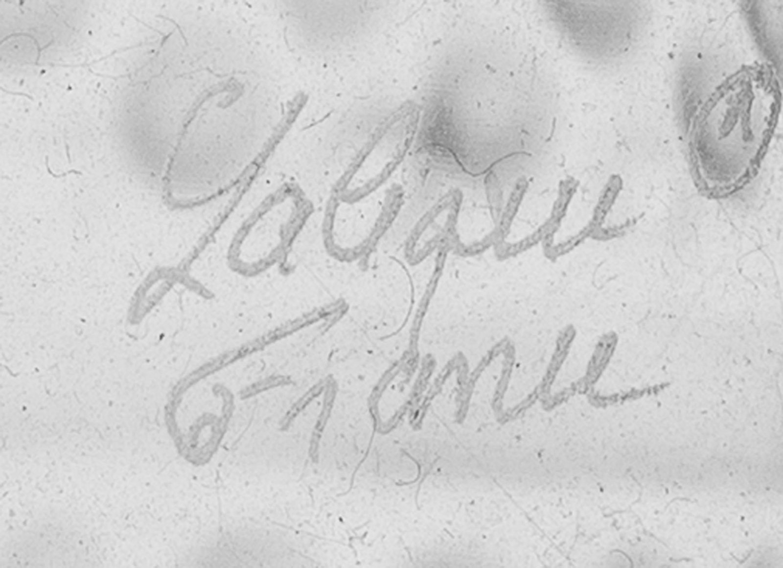 Lalique France. Vase en verre moulé-pressé satiné, modèle Oursin, signature  - 2