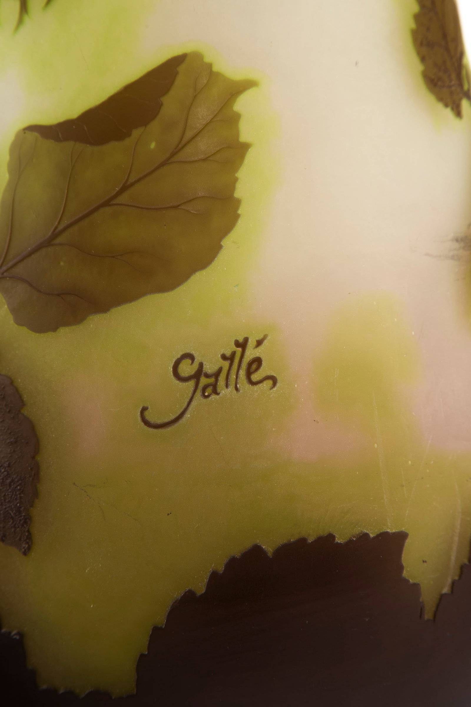 Gallé. Vase piriforme à col ouvert en verre multicouche, à décor dégagé - 6