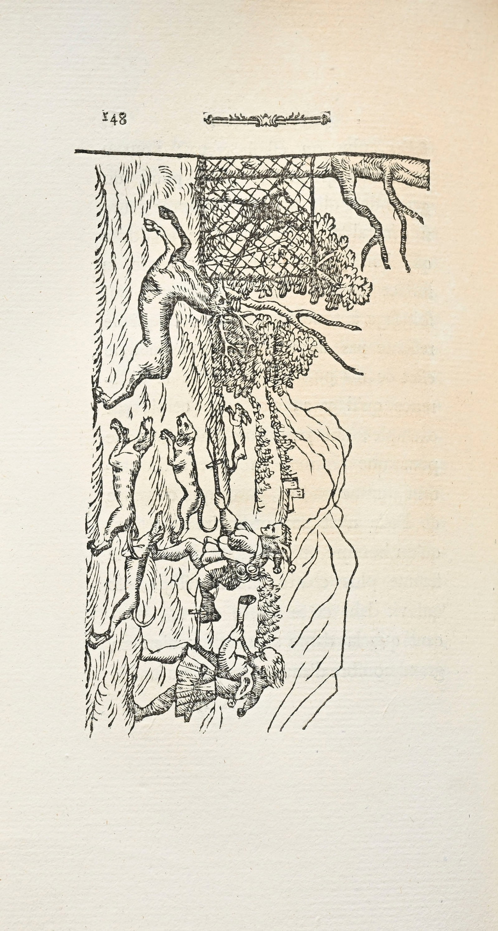 ERASME. Éloge de la folie. Bâle, J. Thurneysen, 1780. In-8° relié plein veau blo - 2