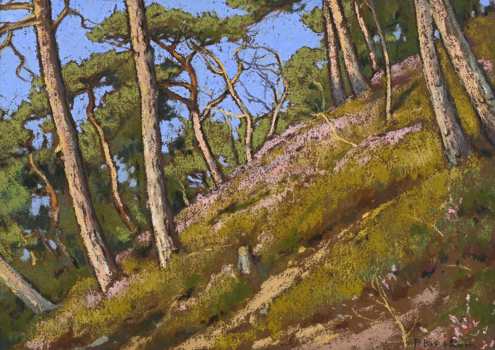 François Birbaum (1872-1947), Coteau aux pins, pastel sur papier, signé, 24,5x34,5 cm (: François Birbaum (1872-1947), Coteau aux pins, pastel sur papier, signé, 24,5x34,5 cm (à vue) Peintre, dessinateur et orfèvre suisse, François Birbaum connaît un destin