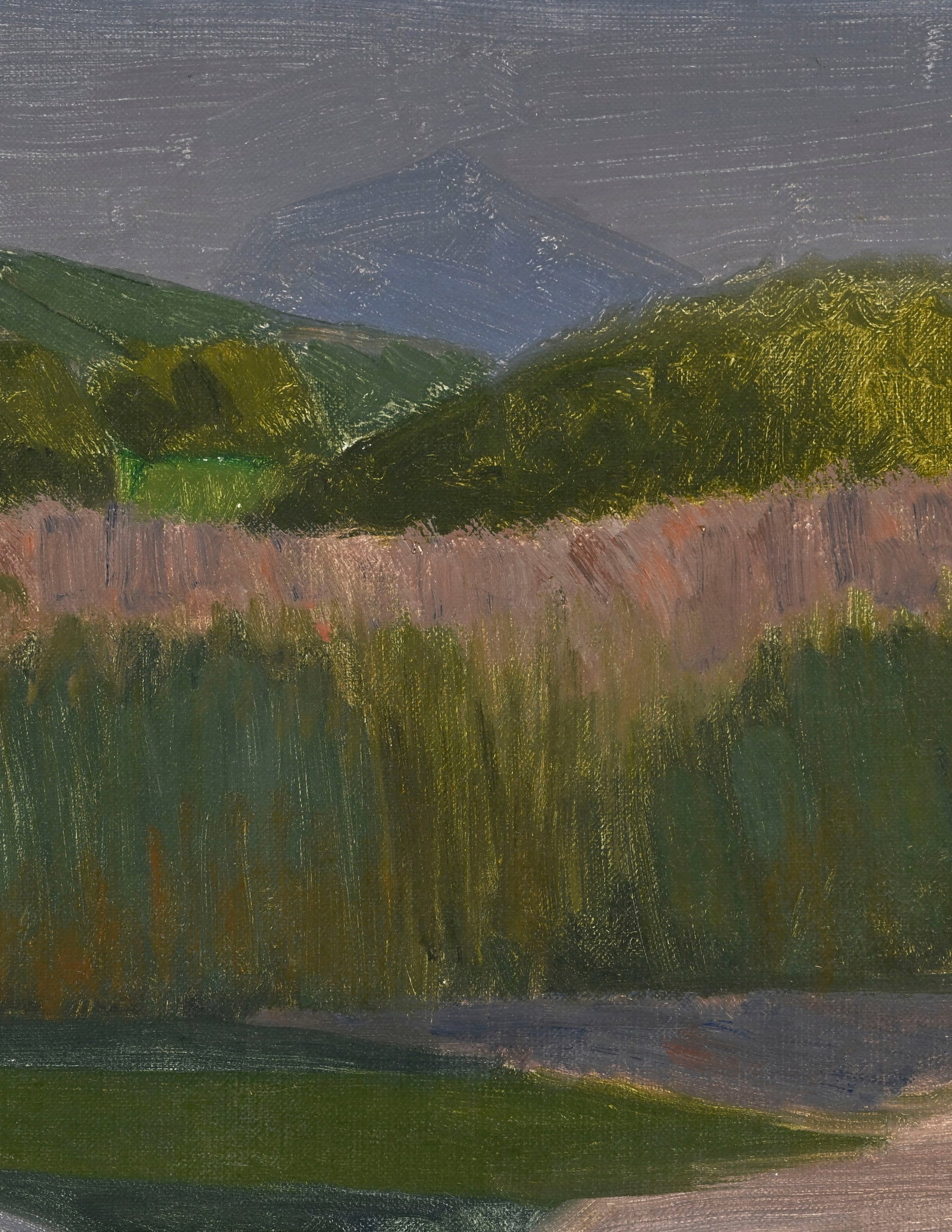 Albert Chavaz (1907-1990), Bord de rivière, 1962, huile sur toile marouflée sur panneau, s - 3