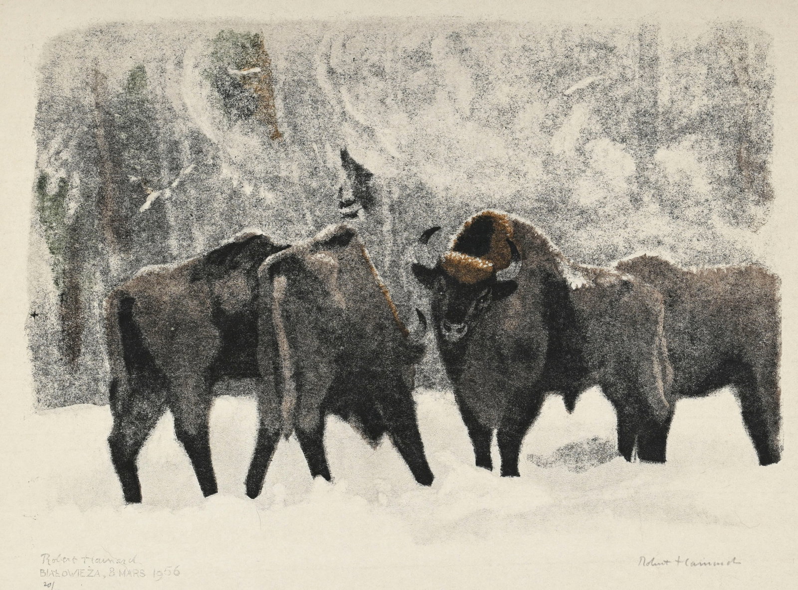 Robert Hainard (1906-1999), "Bisons dans la tourmente de neige", 8 mars 1956, bois gravé, sign& (1 of 6)