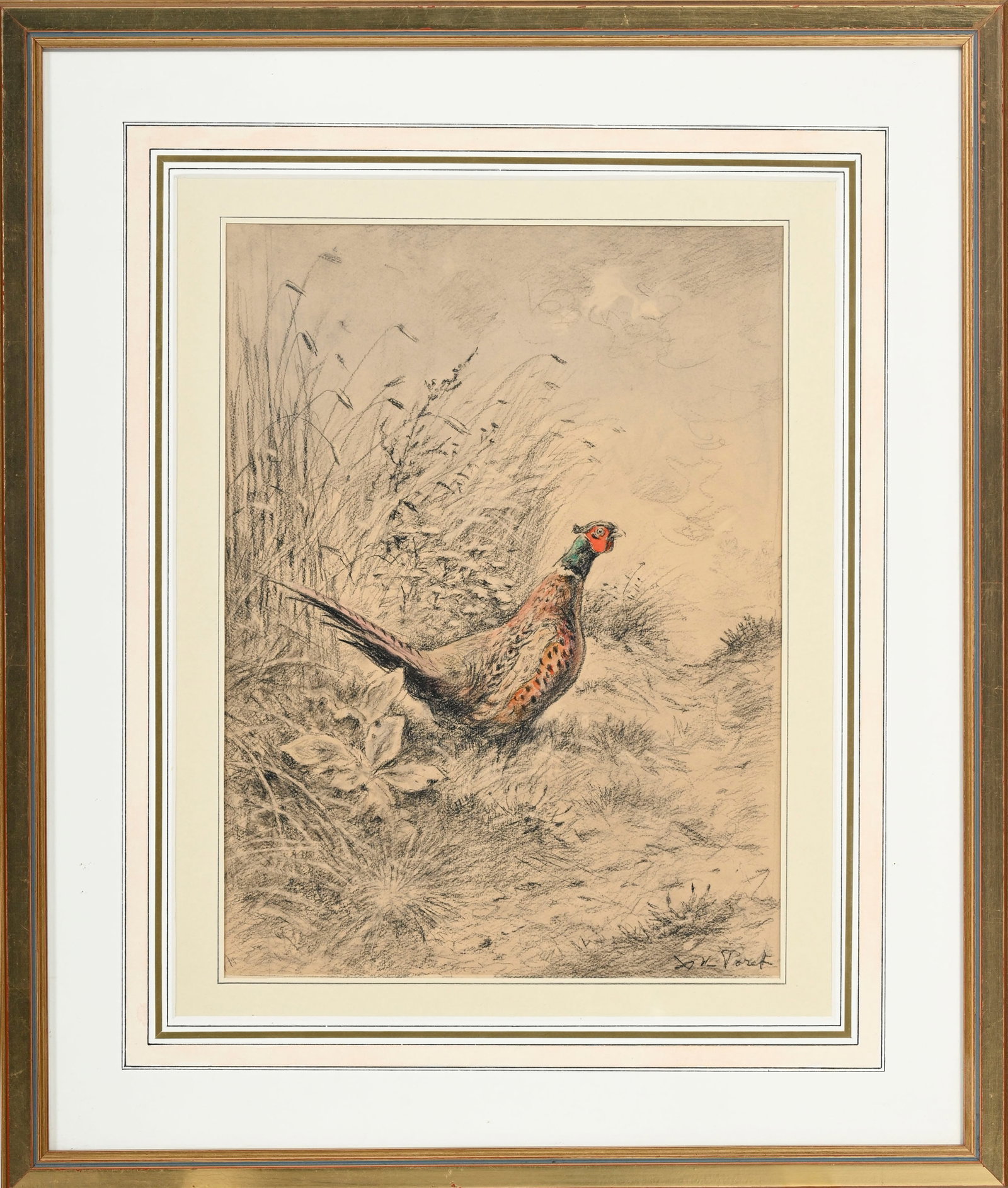 Xavier de Poret (1894-1975), Coq de faisan dans la campagne, pierre noire et aquarelle sur papier, s - 2