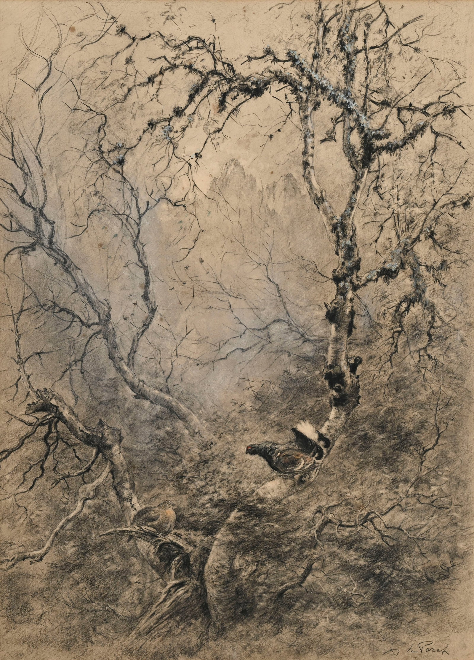 Xavier de Poret (1894-1975), Couple de tétras, pierre noire, crayon de couleur et rehauts de go (1 of 5)