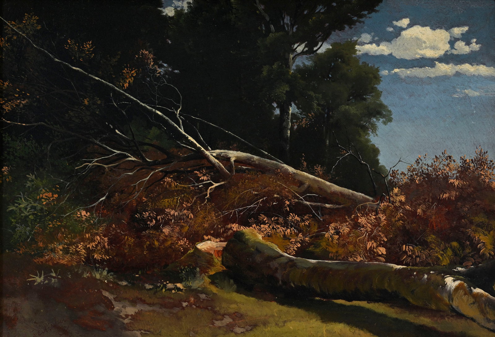 Alexandre Calame (1810-1864), "Arbres coupés", vers 1855, huile sur papier marouflée sur t: Alexandre Calame (1810-1864), "Arbres coupés", vers 1855, huile sur papier marouflée sur toile, située "Seelisberg", 31x44,5 cm Provenance: Amélie Calame, Genève, 1865; Arthur