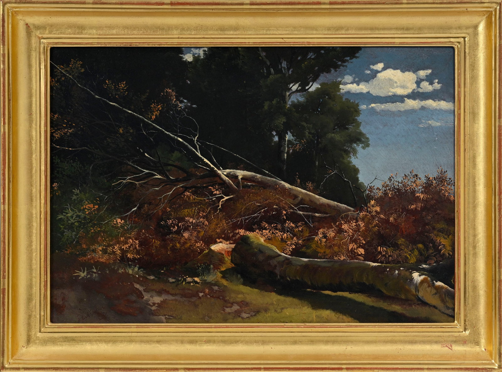 Alexandre Calame (1810-1864), "Arbres coupés", vers 1855, huile sur papier marouflée sur t - 2