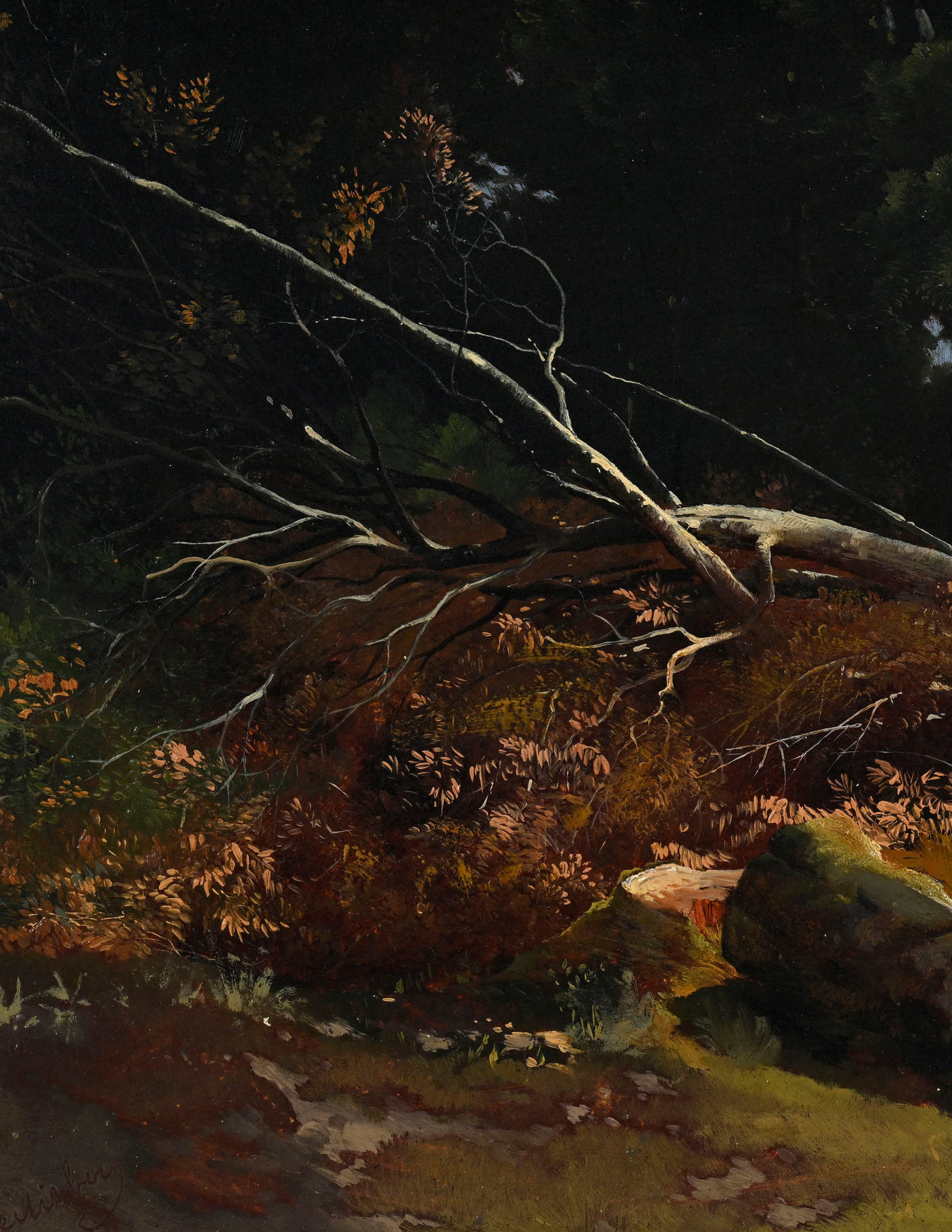 Alexandre Calame (1810-1864), "Arbres coupés", vers 1855, huile sur papier marouflée sur t - 3