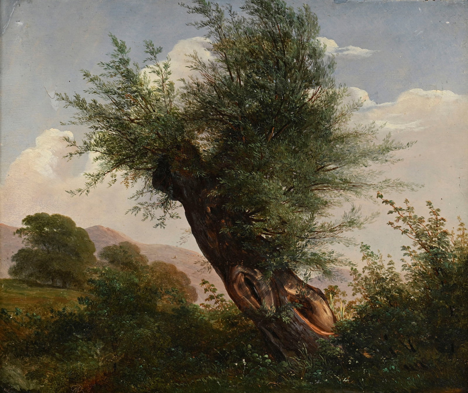 Jean-Baptiste Muntzberger (1794-1878), Paysage au saule, huile sur papier marouflé sur toile, m: Jean-Baptiste Muntzberger (1794-1878), Paysage au saule, huile sur papier marouflé sur toile, monogrammée, 33x39 cm Condition Quelques manques au papier, notamment dans les angles