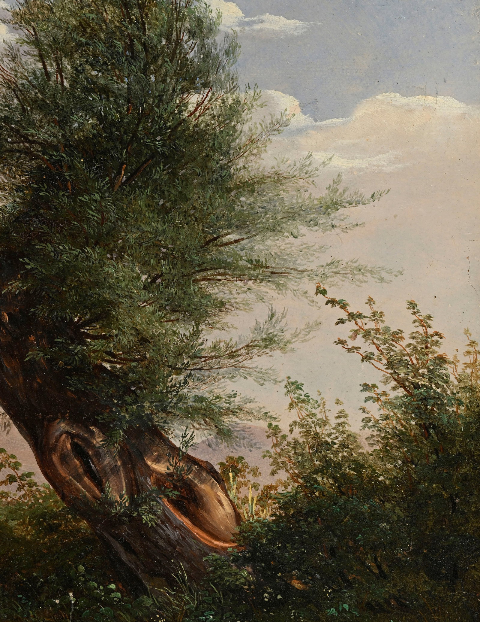 Jean-Baptiste Muntzberger (1794-1878), Paysage au saule, huile sur papier marouflé sur toile, m - 4