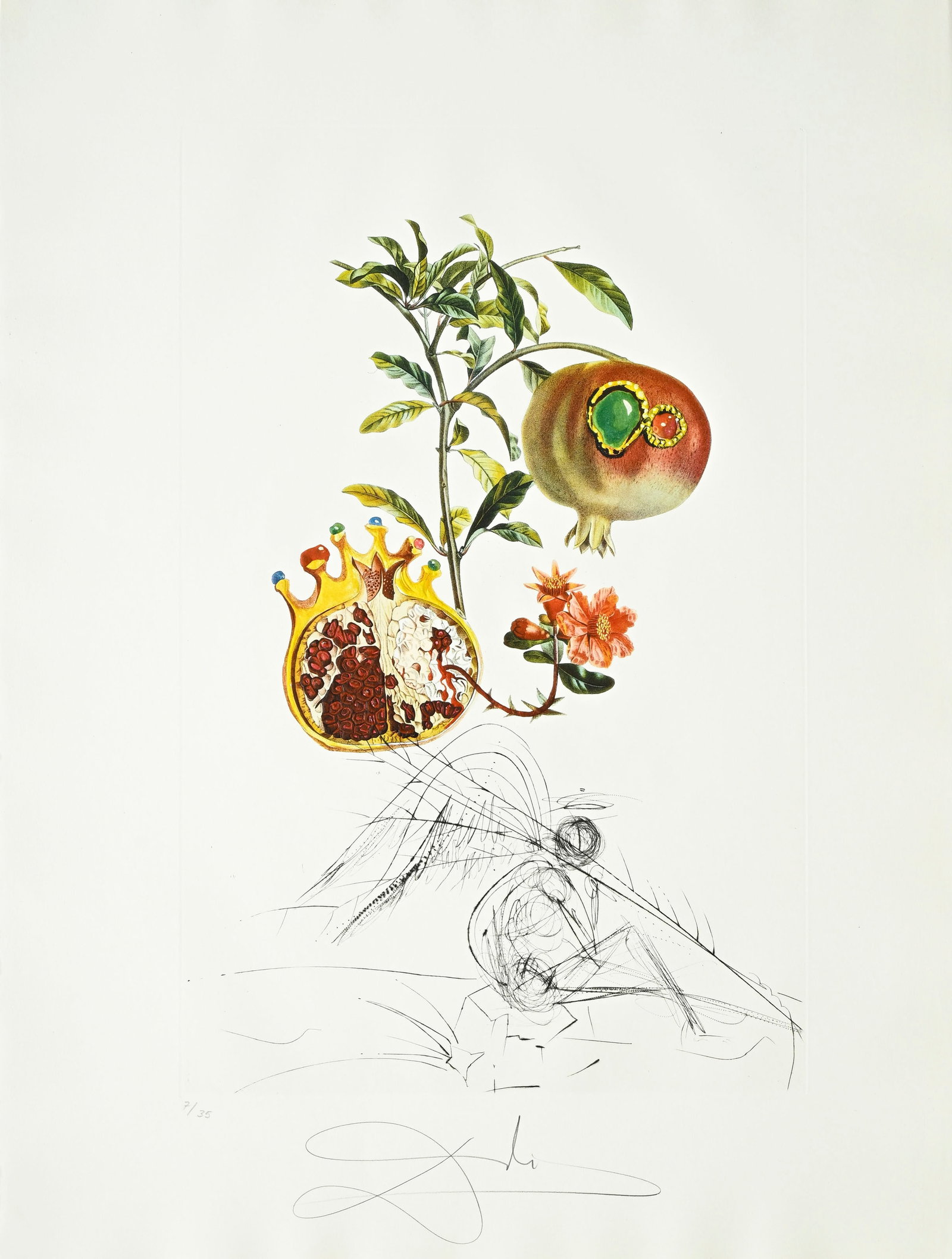 Salvador Dali (1904-1989), "FlorDali - Les Fruits", 1969, 10 pointes-sèches et lithographies en - 10