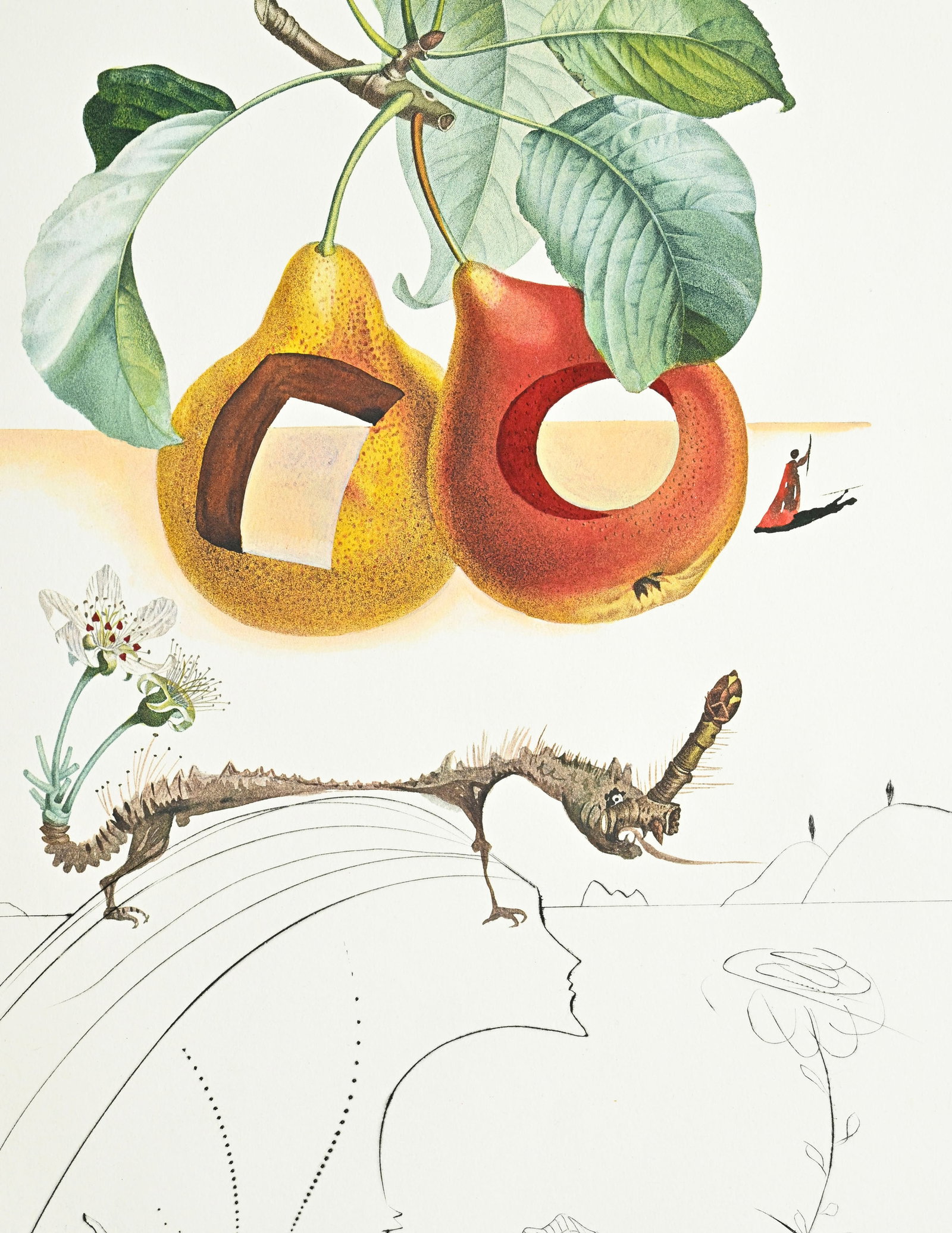 Salvador Dali (1904-1989), "FlorDali - Les Fruits", 1969, 10 pointes-sèches et lithographies en - 11