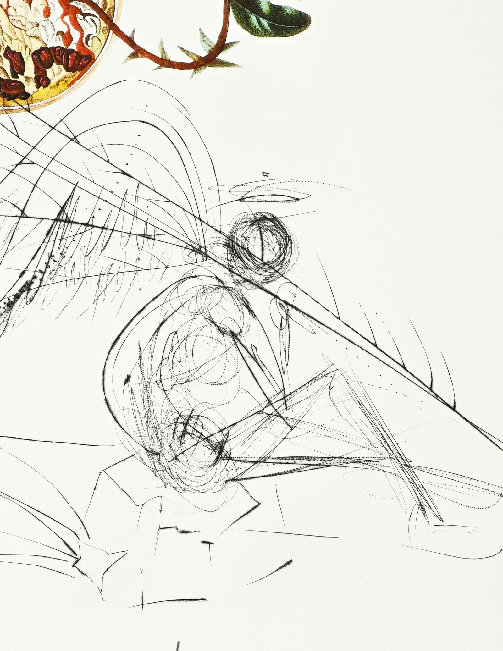 Salvador Dali (1904-1989), "FlorDali - Les Fruits", 1969, 10 pointes-sèches et lithographies en - 18