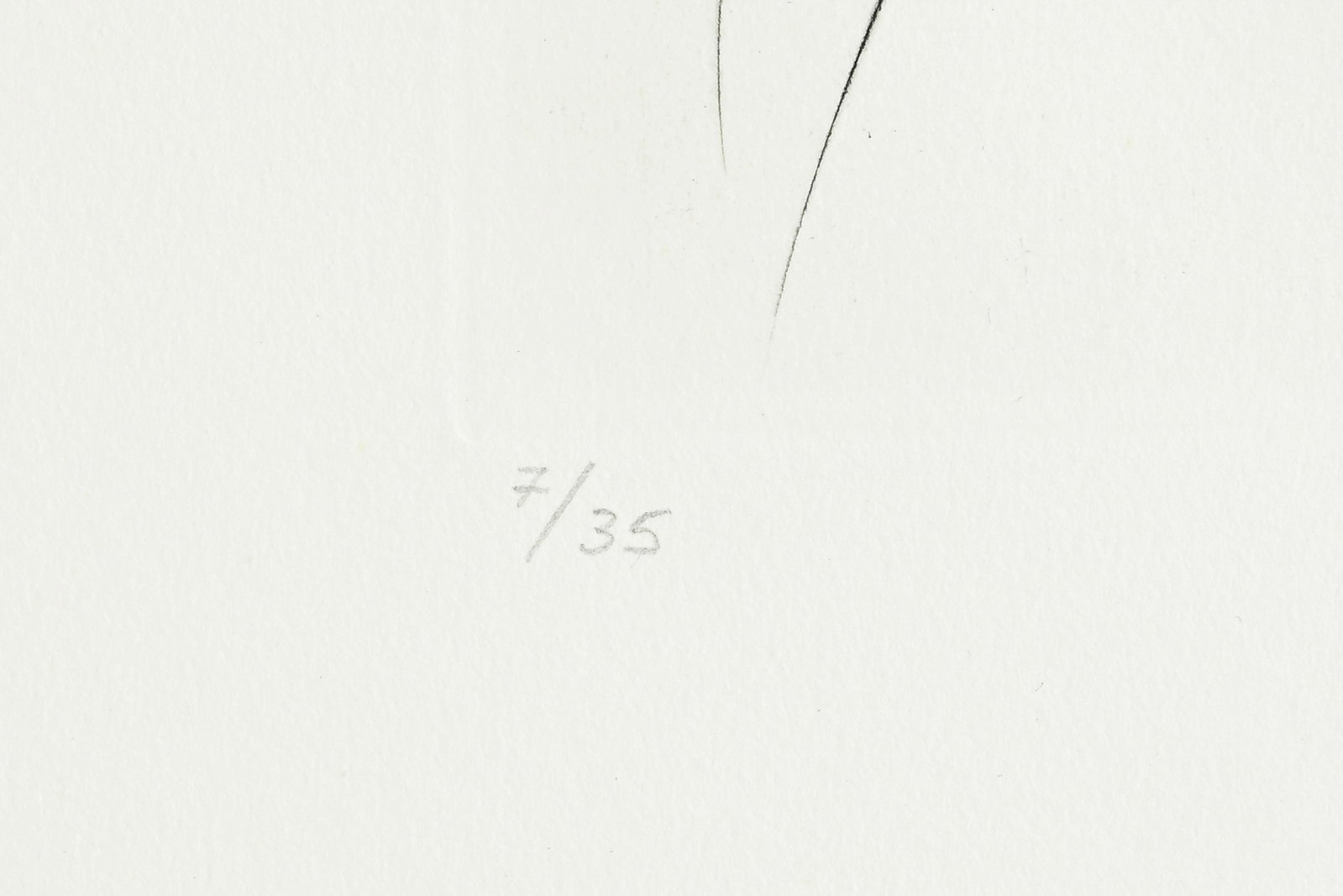 Salvador Dali (1904-1989), "FlorDali - Les Fruits", 1969, 10 pointes-sèches et lithographies en - 19