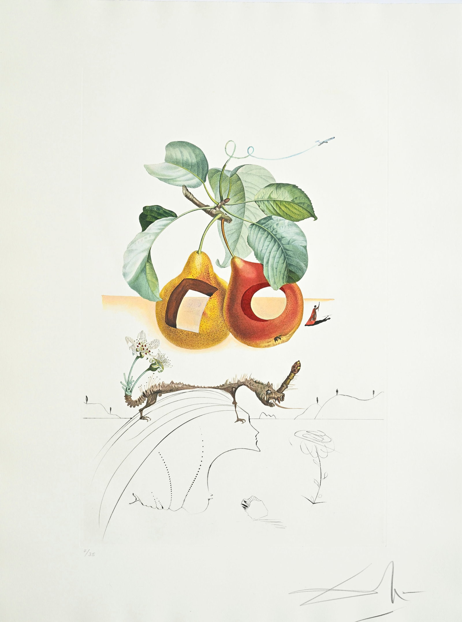 Salvador Dali (1904-1989), "FlorDali - Les Fruits", 1969, 10 pointes-sèches et lithographies en: Salvador Dali (1904-1989), "FlorDali - Les Fruits", 1969, 10 pointes-sèches et lithographies en couleurs, toutes signées et numérotées 7/35, 75x55 cm Bibliographie: R. Michler et