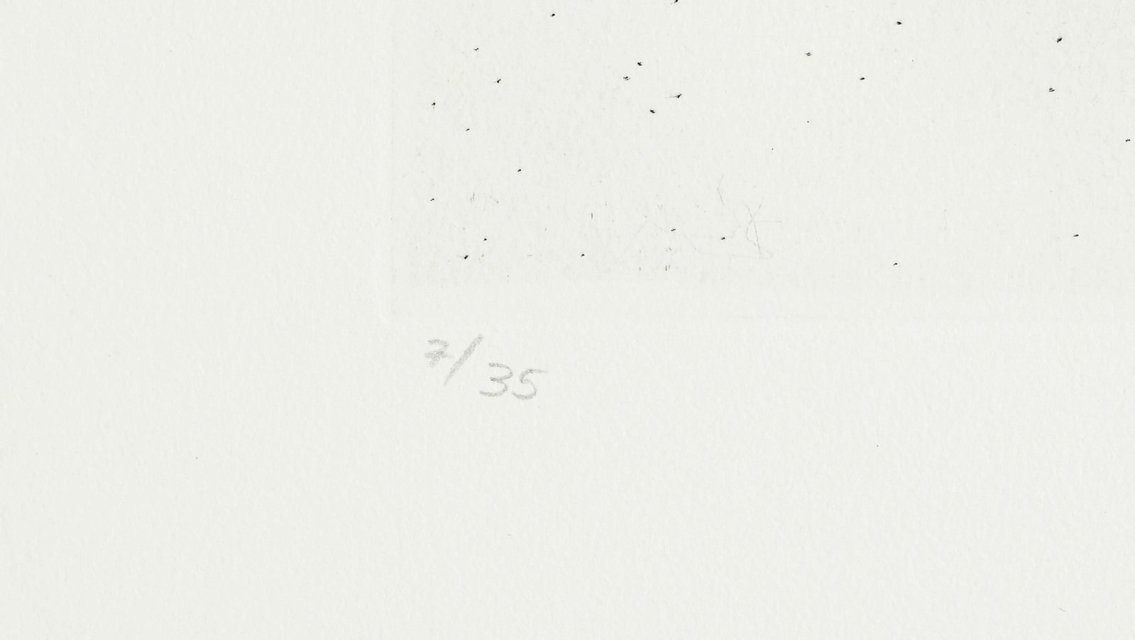 Salvador Dali (1904-1989), "FlorDali - Les Fruits", 1969, 10 pointes-sèches et lithographies en - 20