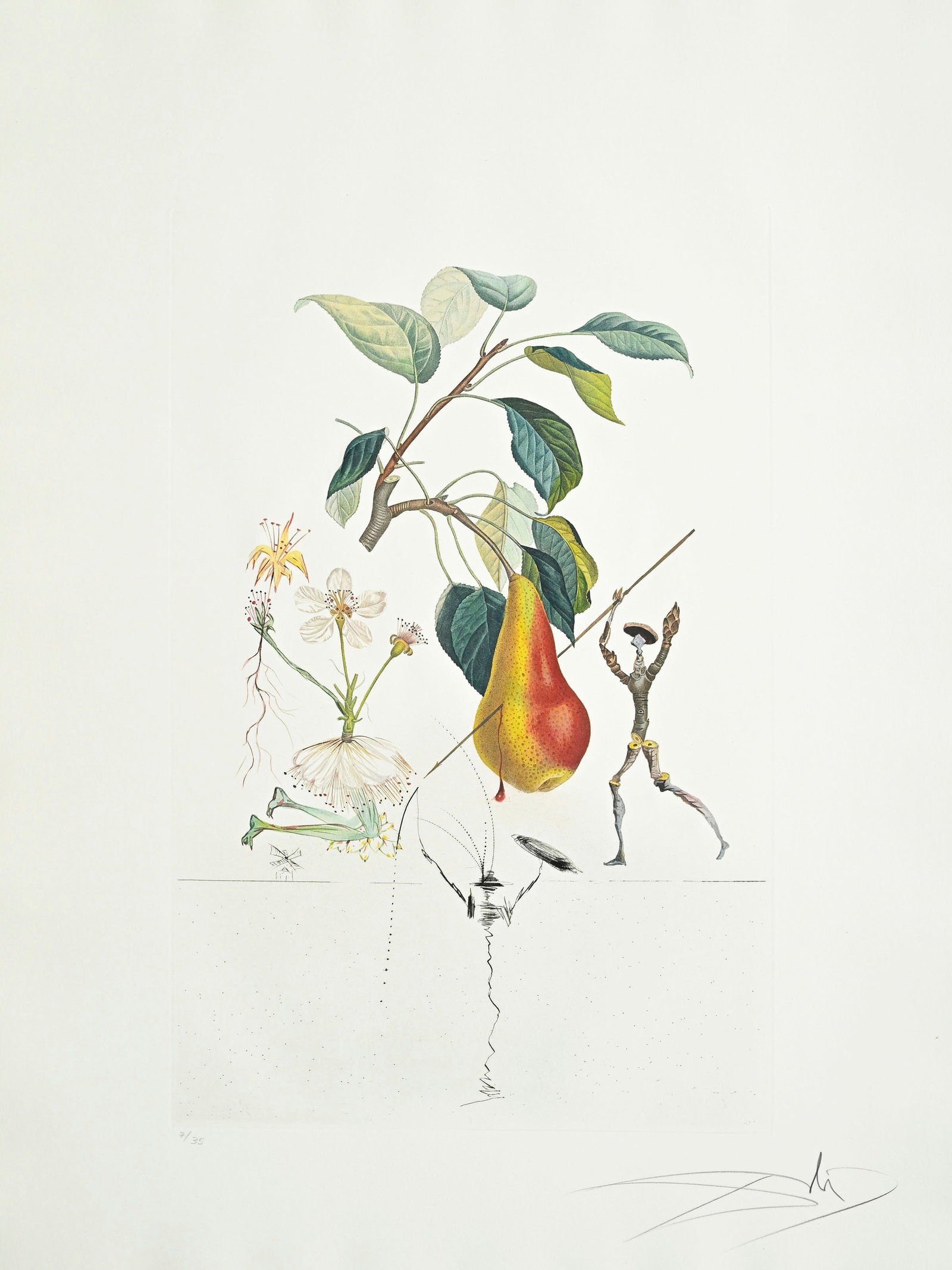Salvador Dali (1904-1989), "FlorDali - Les Fruits", 1969, 10 pointes-sèches et lithographies en - 2
