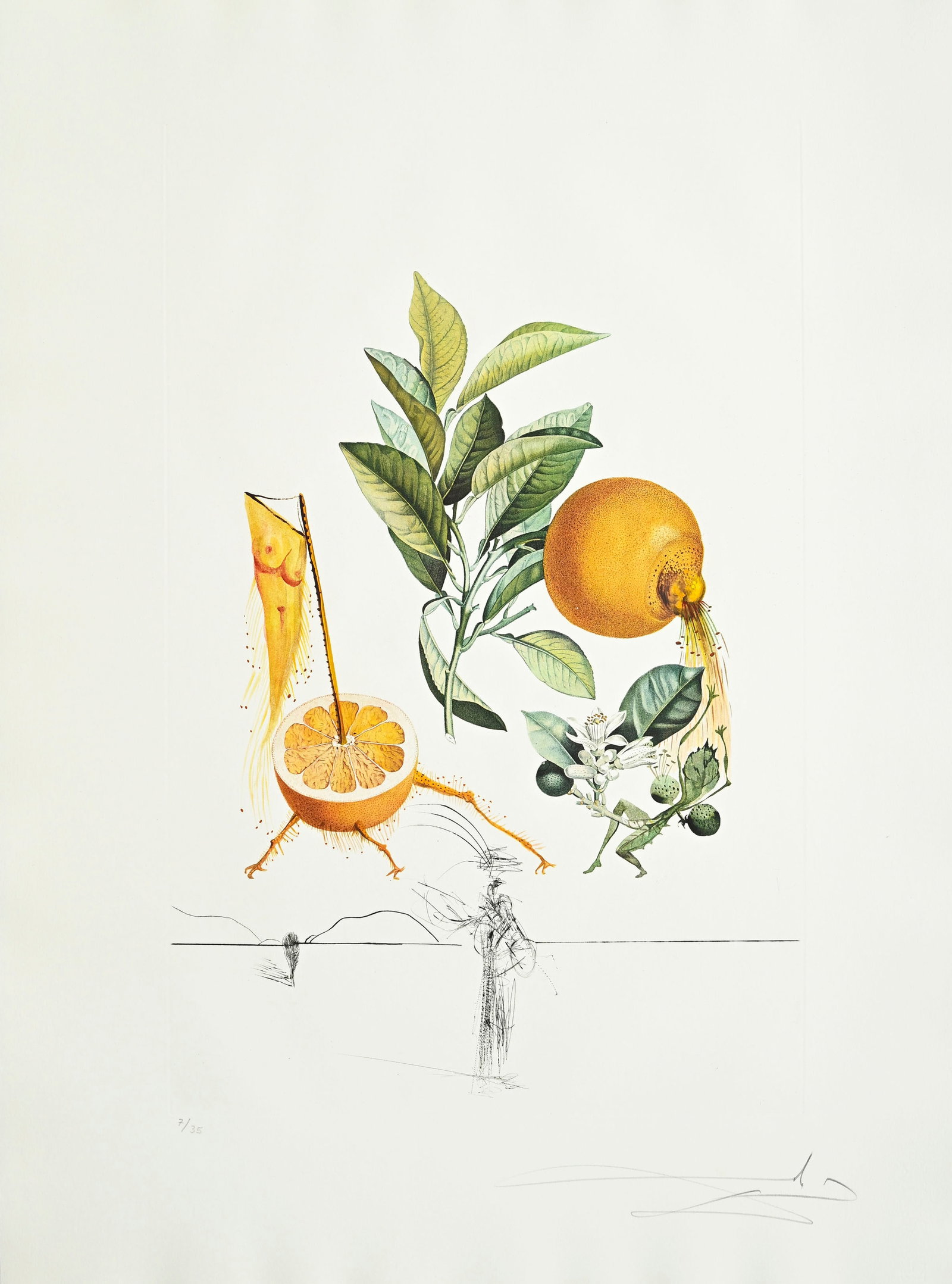 Salvador Dali (1904-1989), "FlorDali - Les Fruits", 1969, 10 pointes-sèches et lithographies en - 3