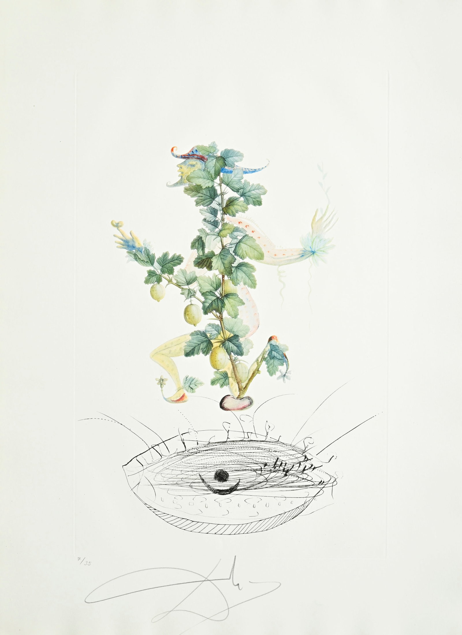Salvador Dali (1904-1989), "FlorDali - Les Fruits", 1969, 10 pointes-sèches et lithographies en - 4