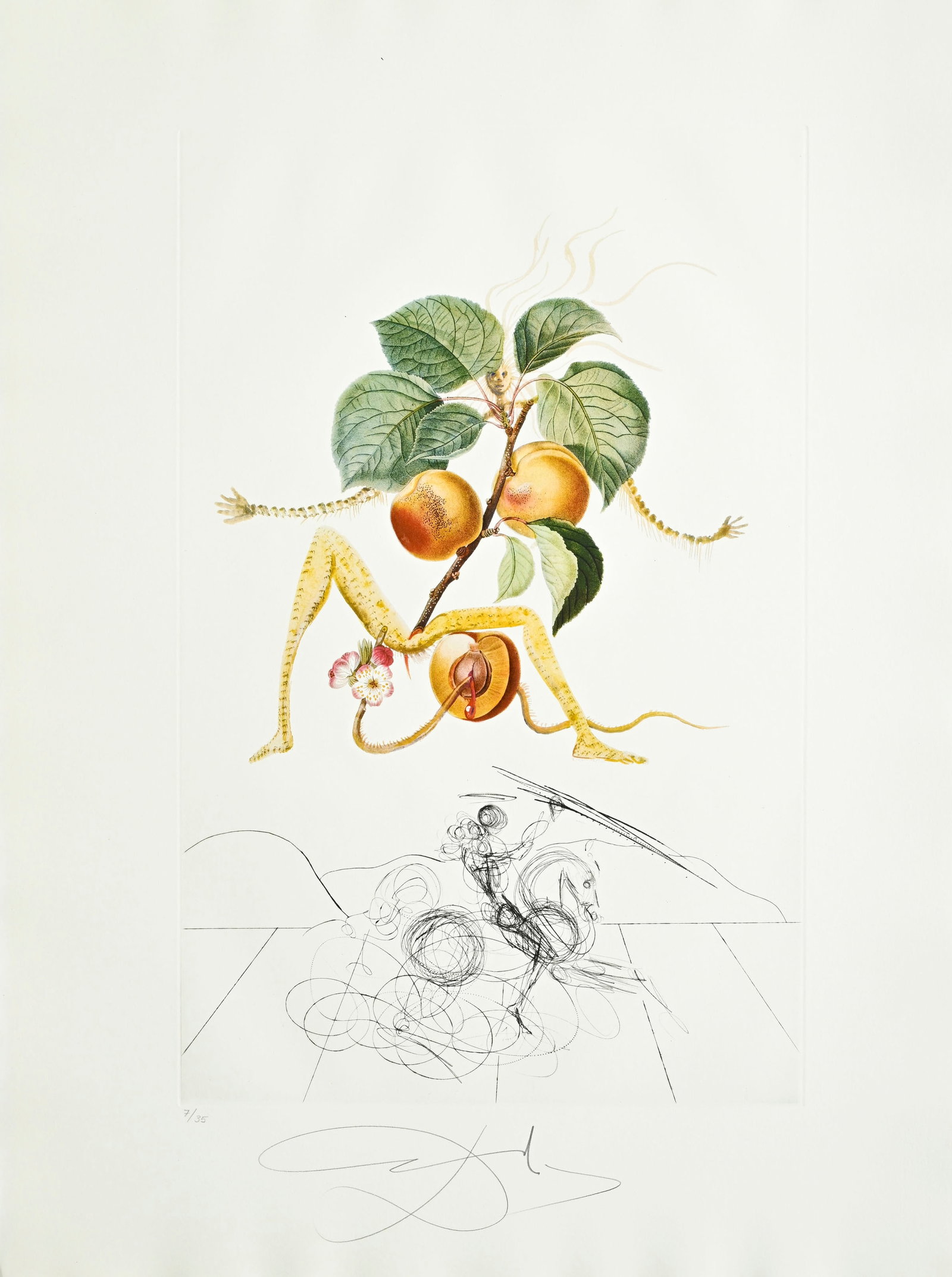 Salvador Dali (1904-1989), "FlorDali - Les Fruits", 1969, 10 pointes-sèches et lithographies en - 5
