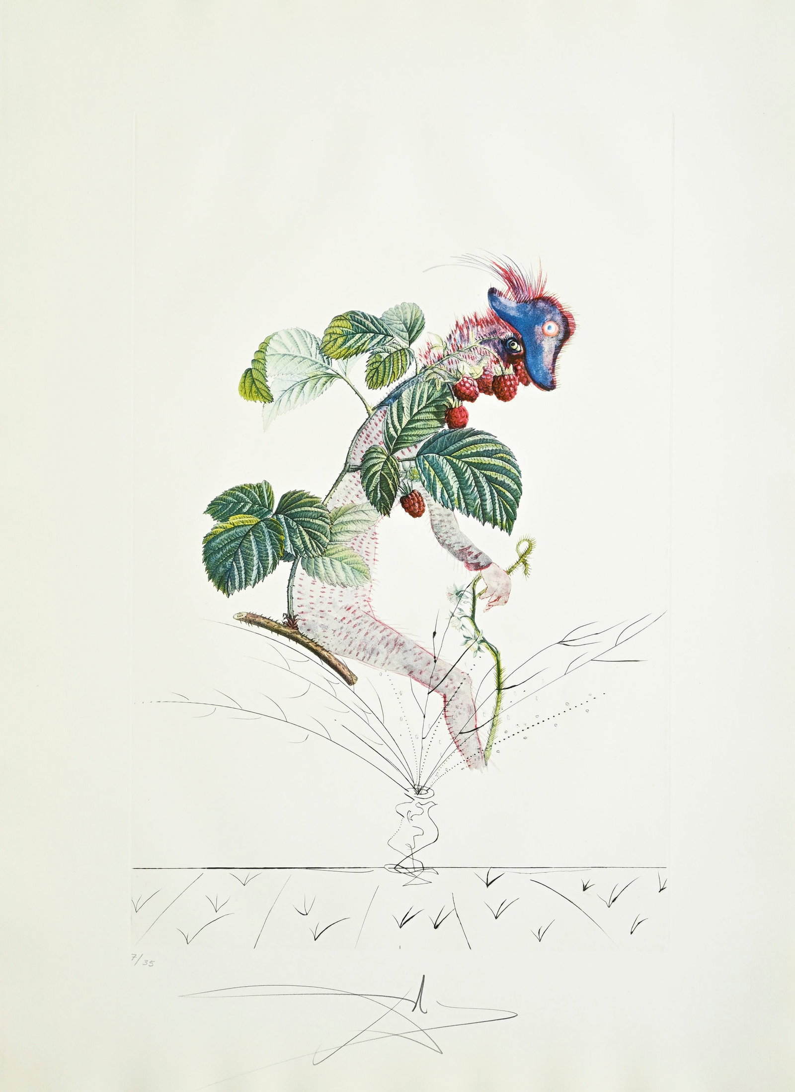 Salvador Dali (1904-1989), "FlorDali - Les Fruits", 1969, 10 pointes-sèches et lithographies en - 7