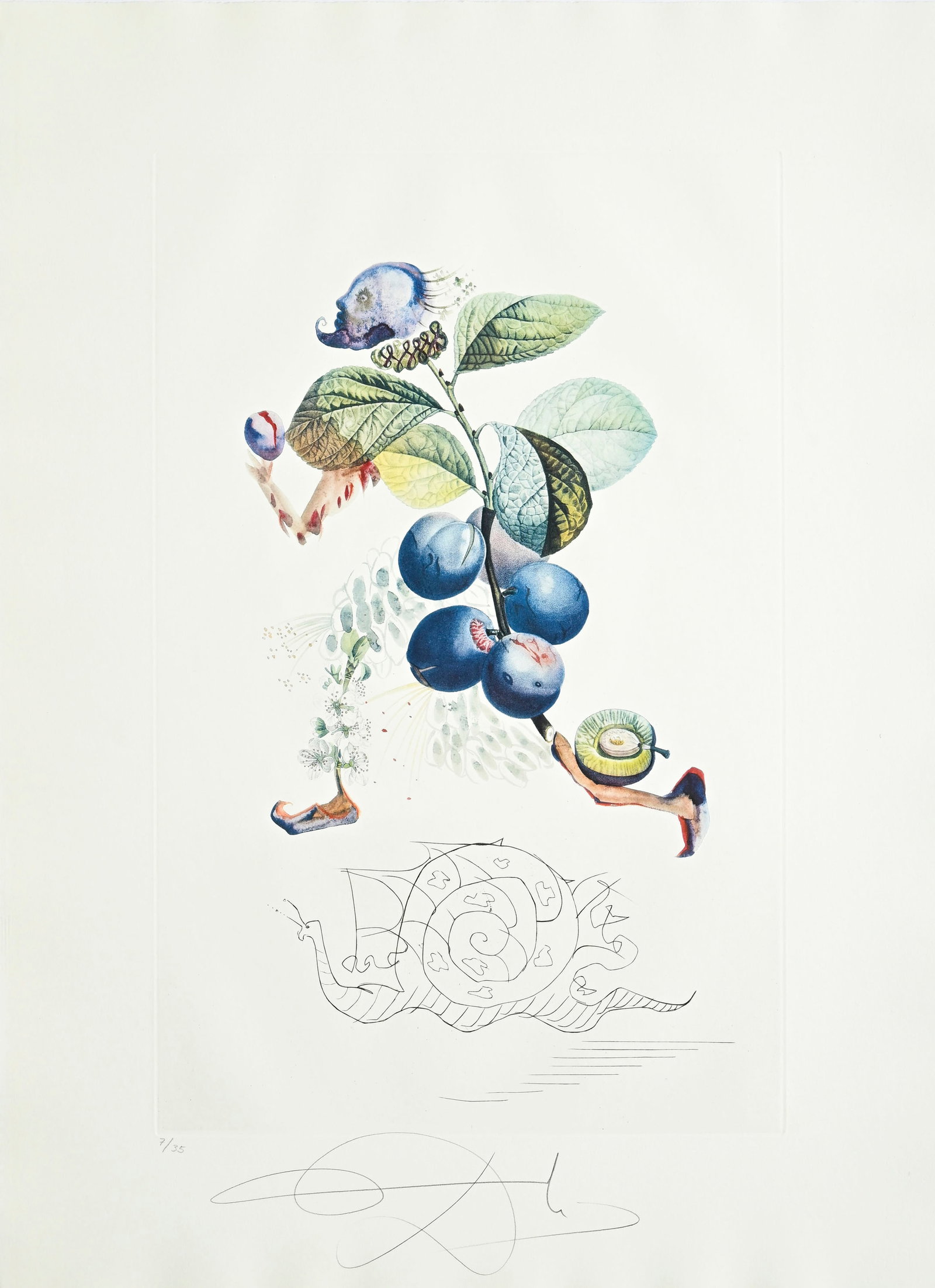 Salvador Dali (1904-1989), "FlorDali - Les Fruits", 1969, 10 pointes-sèches et lithographies en - 9