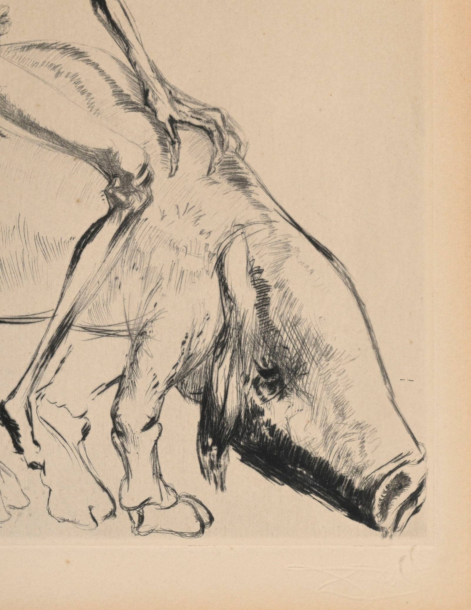 Salvador Dali (1904-1989), d'après, "Femme au cochon" ou "Baubo", eau-forte sur, cachet sec rep - 4