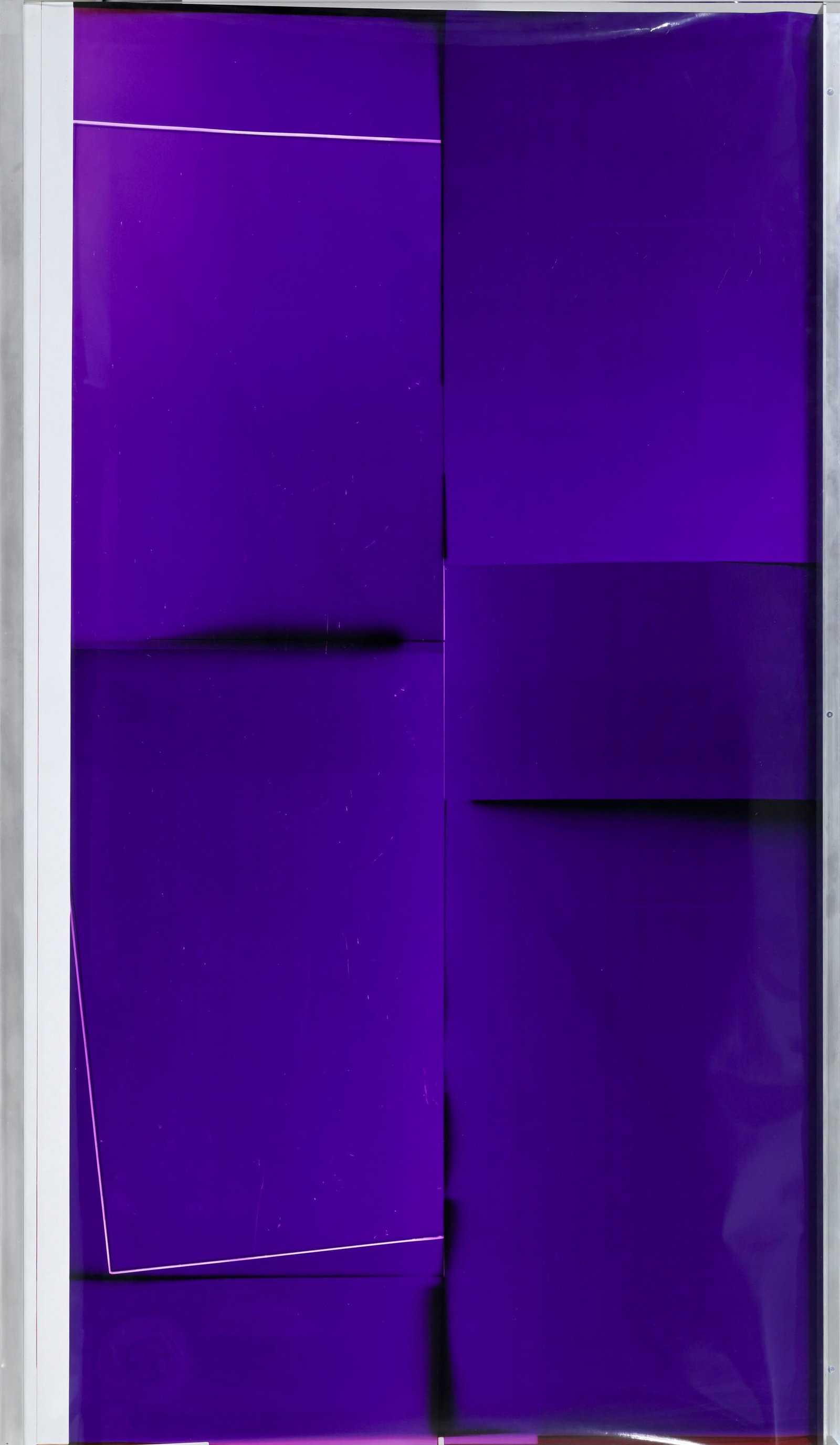 Manuel Burgener (1978), "Sans titre", 2018, photogramme, cadre en aluminium et verre, 182x105x8 cm  - 2
