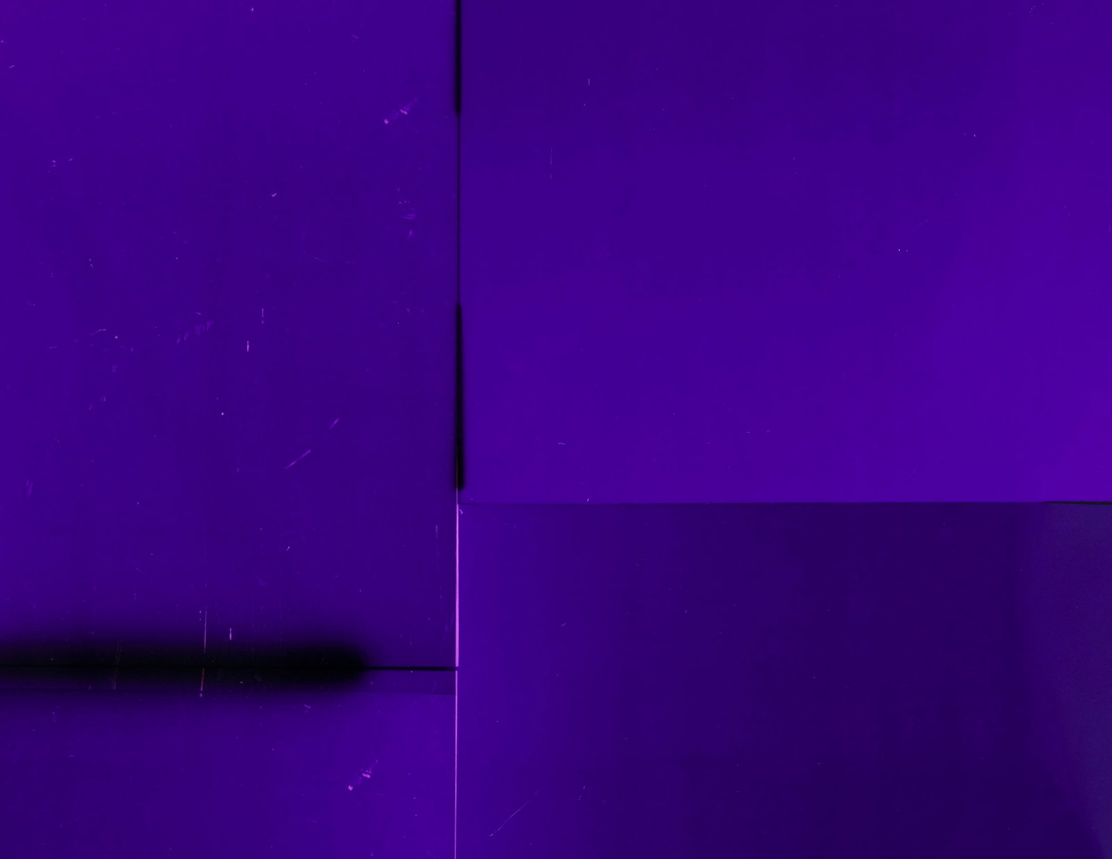 Manuel Burgener (1978), "Sans titre", 2018, photogramme, cadre en aluminium et verre, 182x105x8 cm  - 3