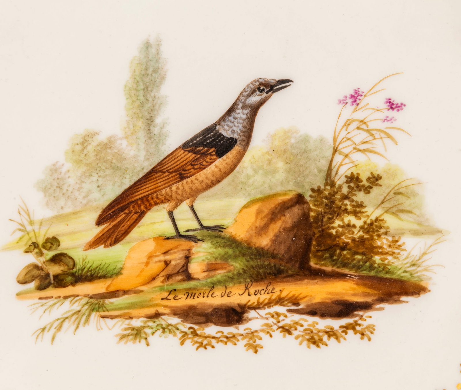 Schoelcher. Ensemble de 4 assiettes en porcelaine, Paris, XIXe s., à décor d'oiseaux sur f - 3