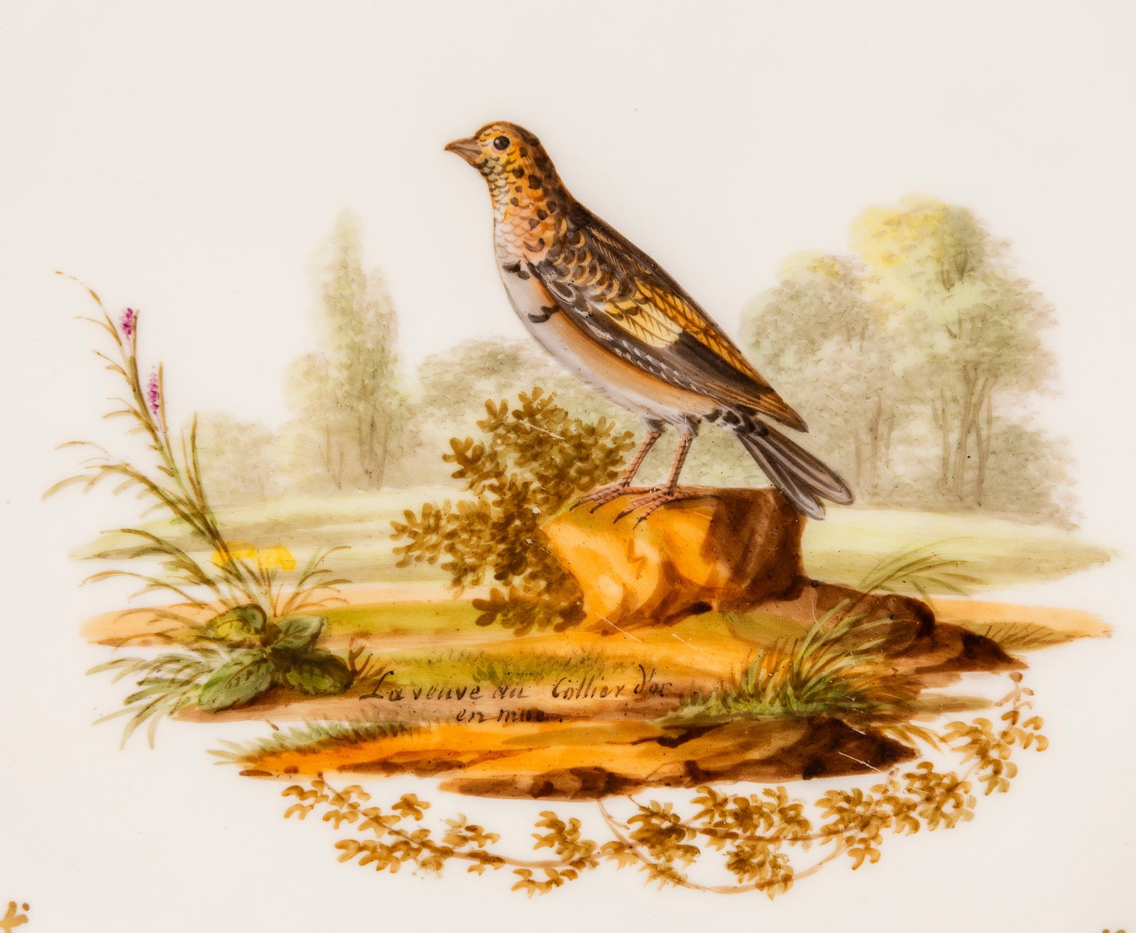 Schoelcher. Ensemble de 4 assiettes en porcelaine, Paris, XIXe s., à décor d'oiseaux sur f - 4