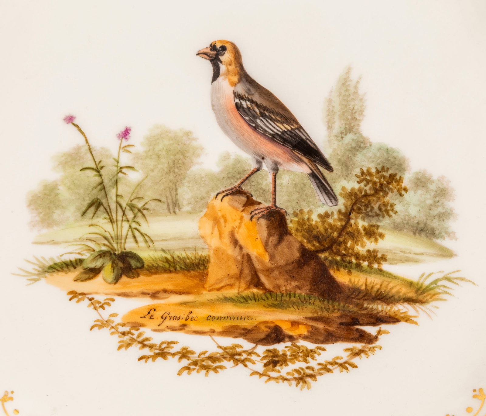 Schoelcher. Ensemble de 4 assiettes en porcelaine, Paris, XIXe s., à décor d'oiseaux sur f - 5