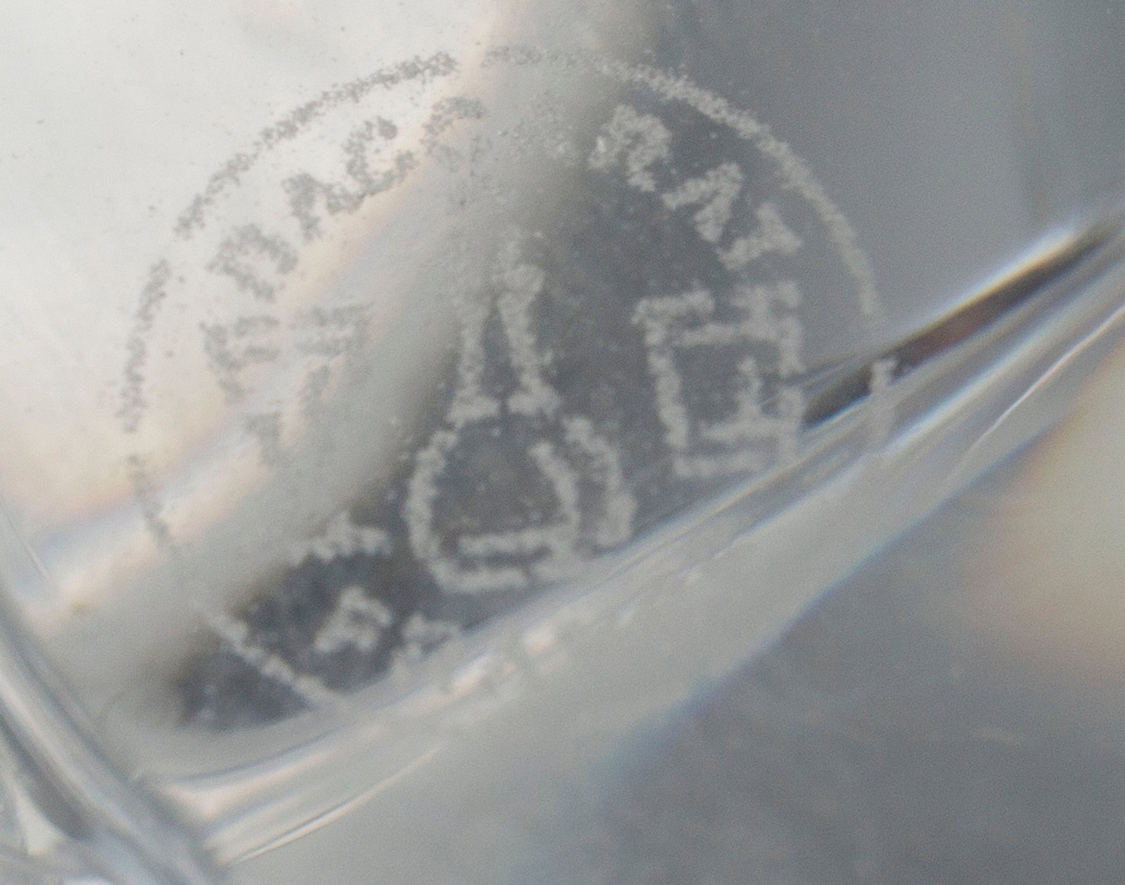 Baccarat. Vase en cristal, modèle Amphora, long. 34,5 cm - 8