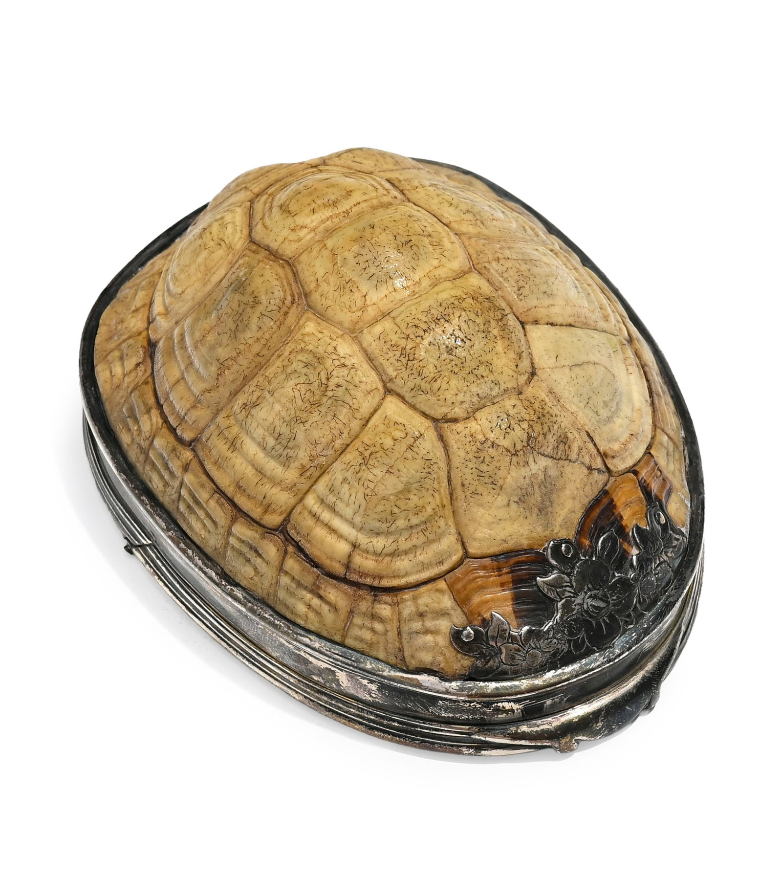 Tabatière en écaille de tortue à monture en argent, travail continental vers 1730\. F: Tabatière en écaille de tortue à monture en argent, travail continental vers 1730. Formée d'une carapace entière de tortue d'Hermann testudo hermanni, l'intérieur en