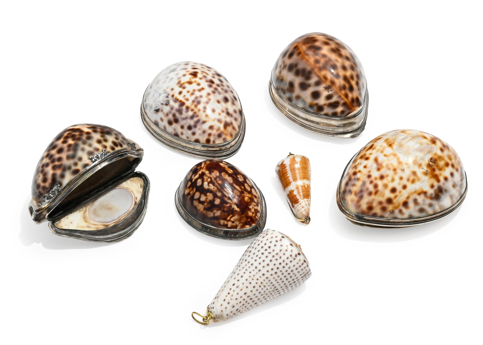 Ensemble de 5 tabatières en cauri cypraea avec monture en argent, probablement travail anglais,: Ensemble de 5 tabatières en cauri cypraea avec monture en argent, probablement travail anglais, circa 1750-1770, dont 1 de l'orfèvre John Carman, Londres, inscriptions de 'John Fleming' et