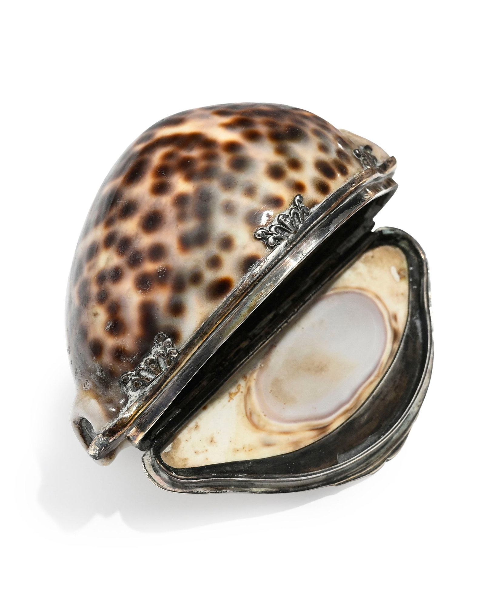 Ensemble de 5 tabatières en cauri cypraea avec monture en argent, probablement travail anglais, - 2