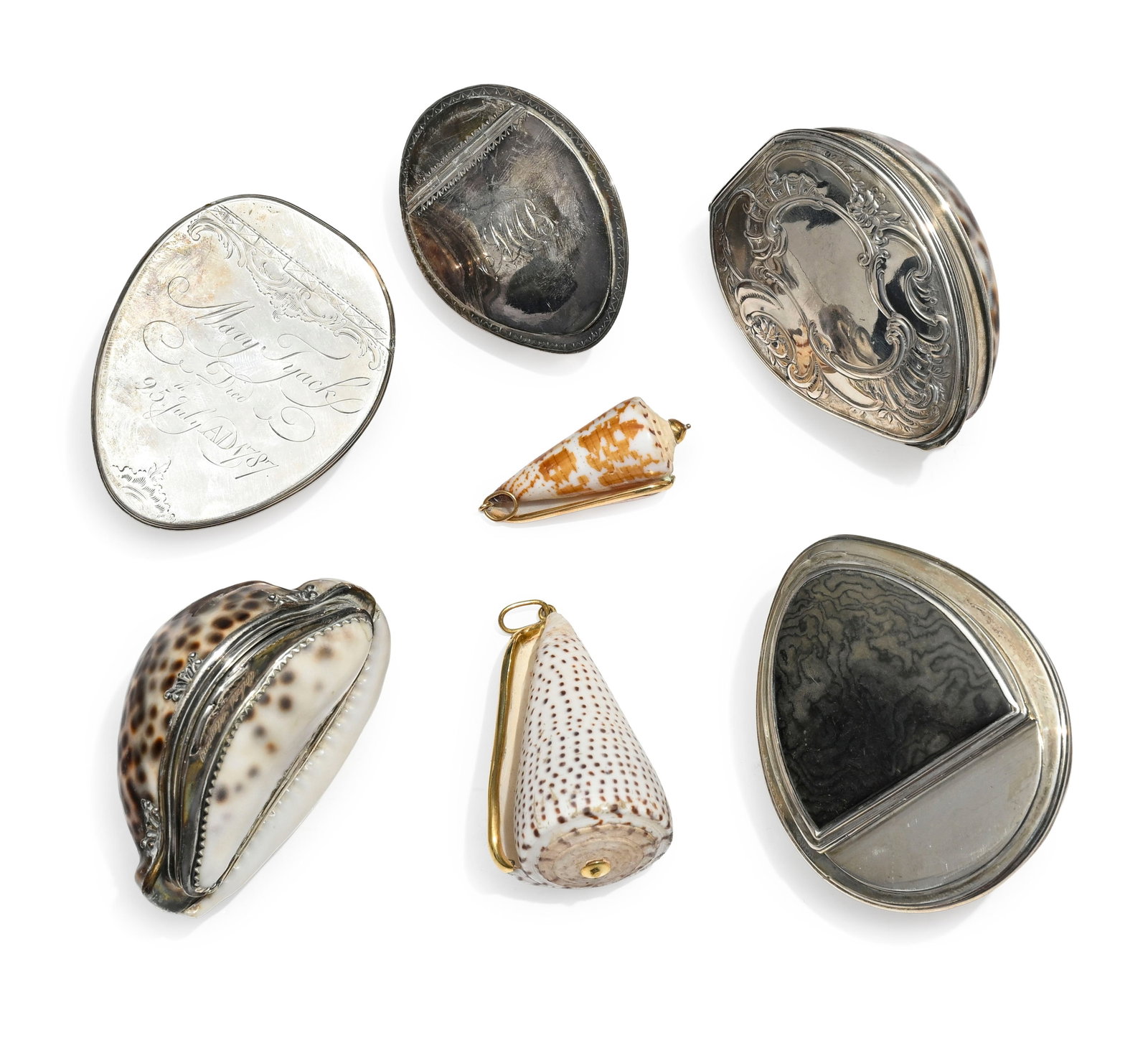 Ensemble de 5 tabatières en cauri cypraea avec monture en argent, probablement travail anglais, - 3