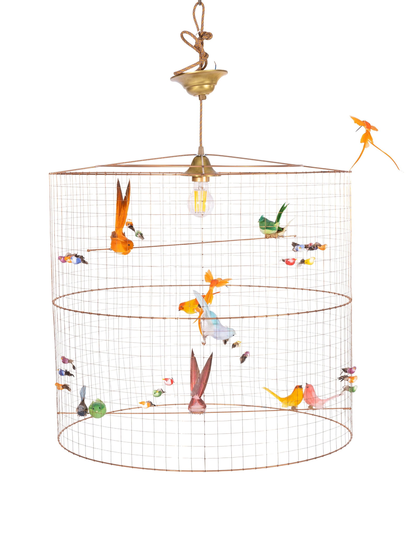 Suspension Grande Volière par Mathieu Challières, XXIe s., structure en métal agr: Suspension Grande Volière par Mathieu Challières, XXIe s., structure en métal agrémentée d'oiseaux, h. 66 cm, diam. 66 cm Condition nous ne garantissons pas l'état de