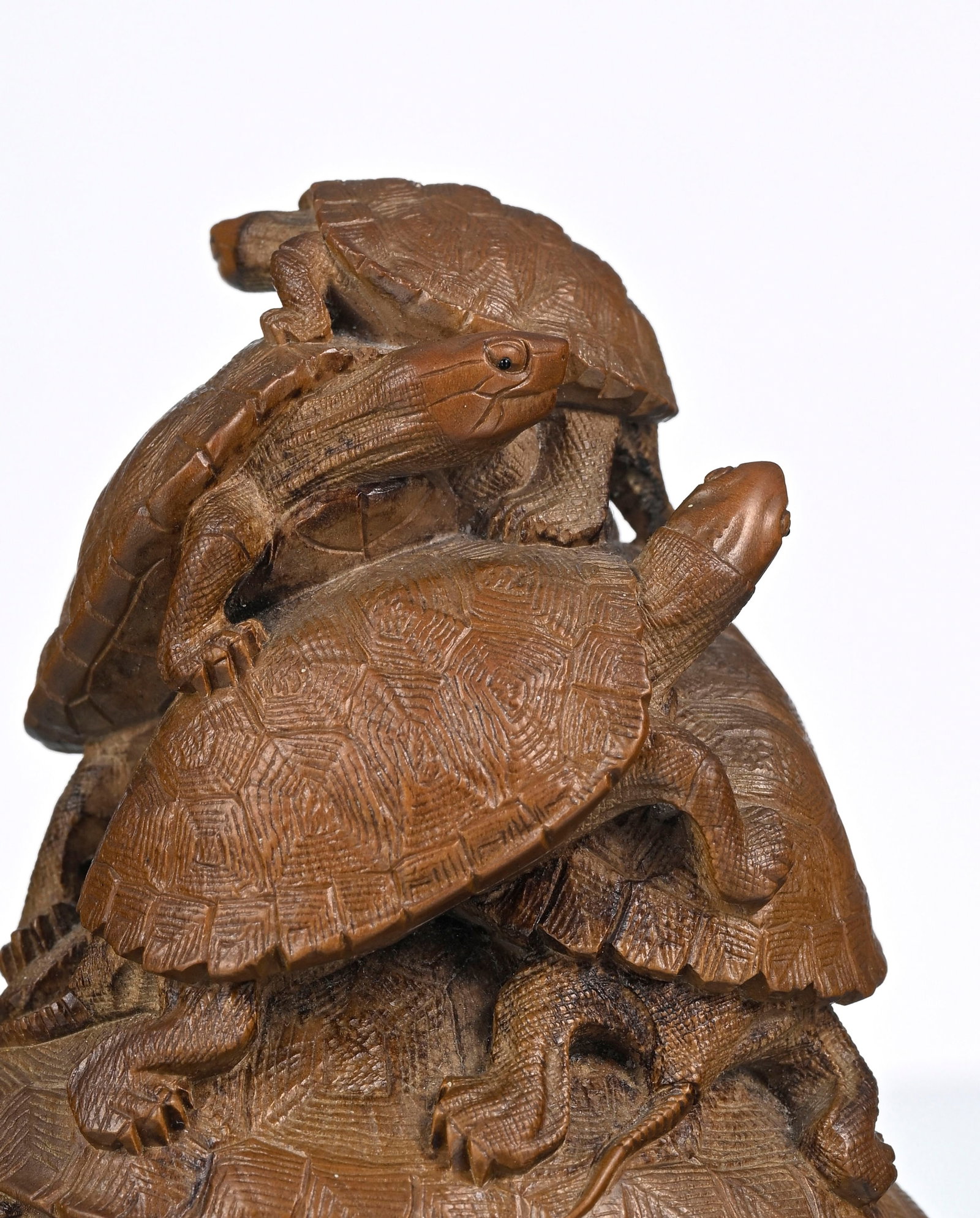Groupe de tortues, netsuke en ivoire végétal (morphil), Japon, XIX-XXe s., signé  - 3