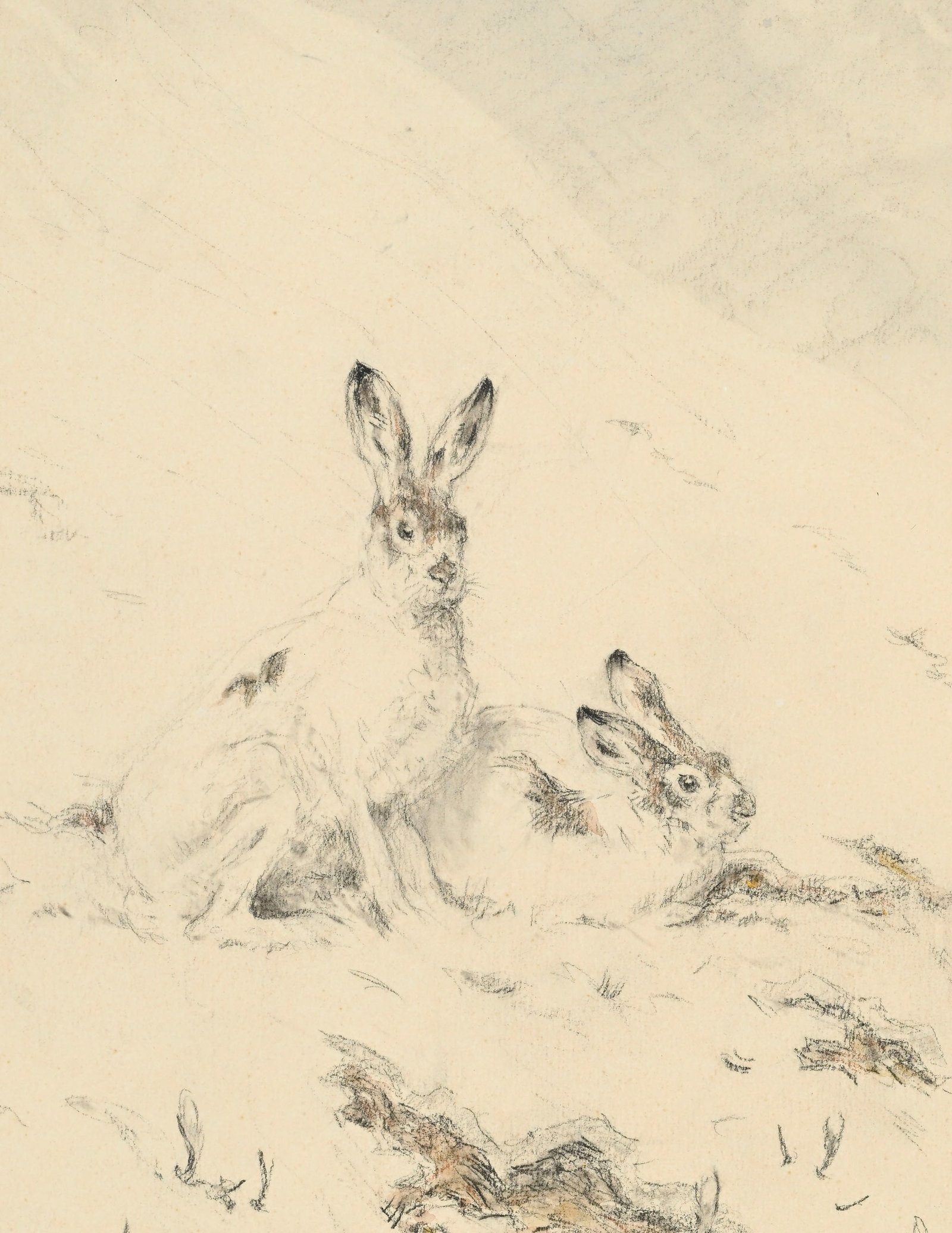 Xavier de Poret (1894-1975), Lièvres dans un paysage alpestre, 1934, pierre noire, estompe et a - 3