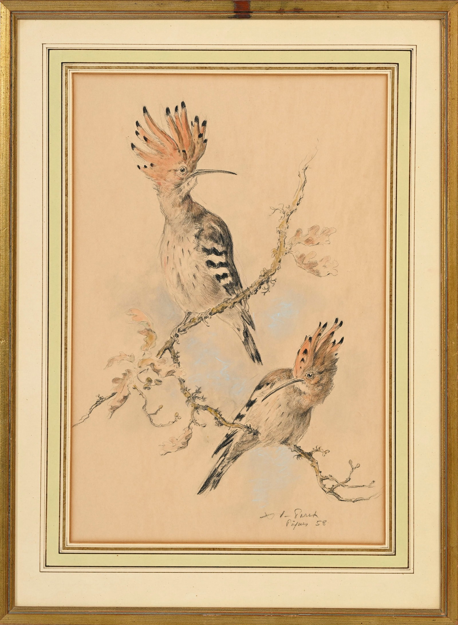 Xavier de Poret (1894-1975), Couple d'huppes fasciées sur une branche, 1958, pierre noire, crai - 2