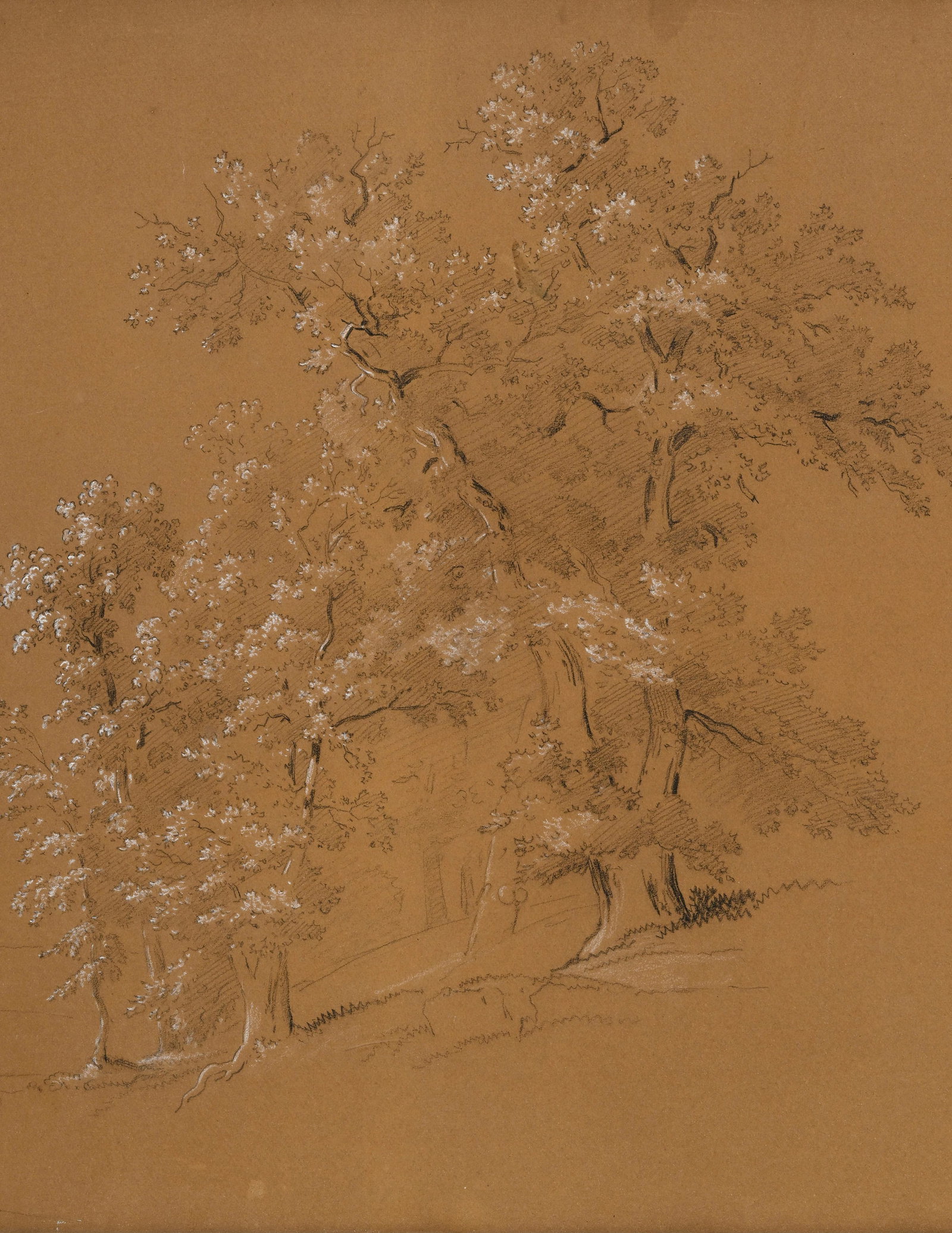 Jean-Antoine Linck (1766-1843), Paysage avec arbres, pierre noire et craie blanche sur papier, sign& - 3