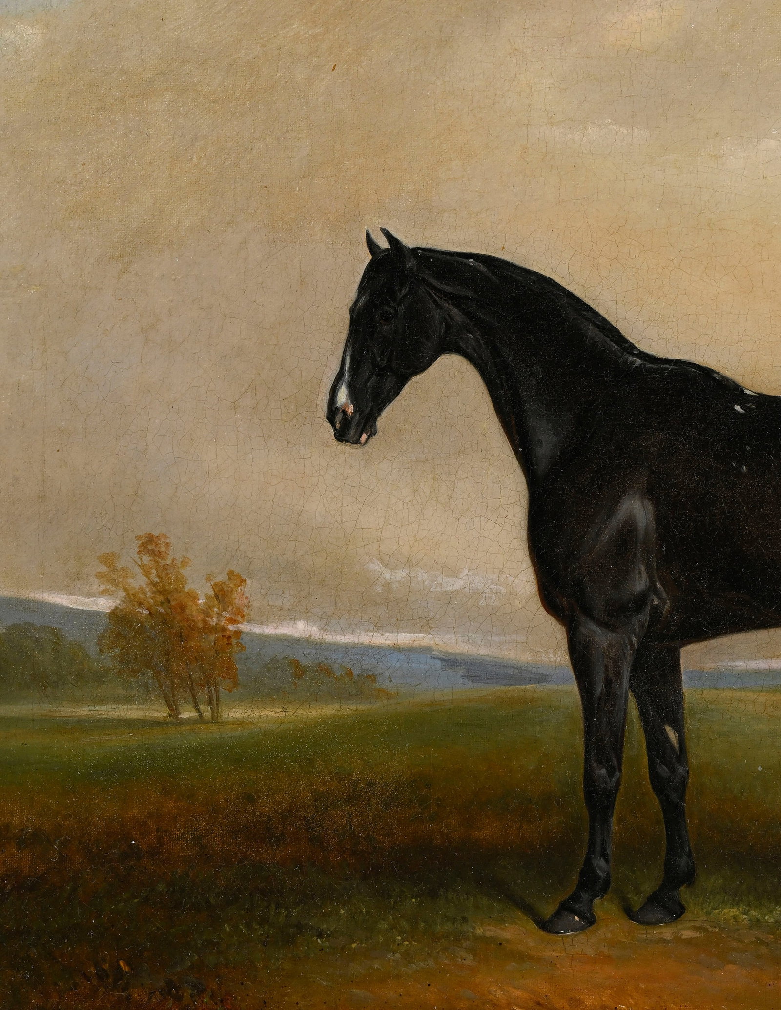 Claude Lorraine Ferneley (1822-1891), "Hamder", 1860, huile sur toile, signée, datée et si - 3