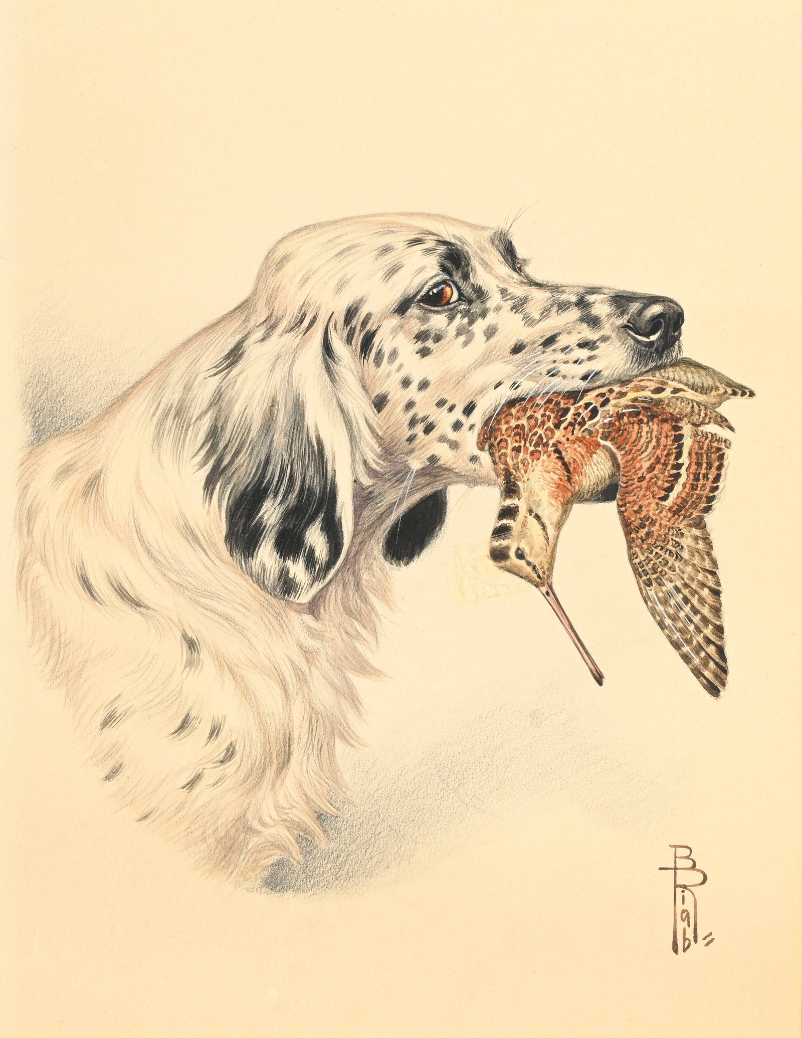 Boris Riab (1898-1975), Cocker au lapin de garenne et Setter à la bécasse des bois, paire  - 3
