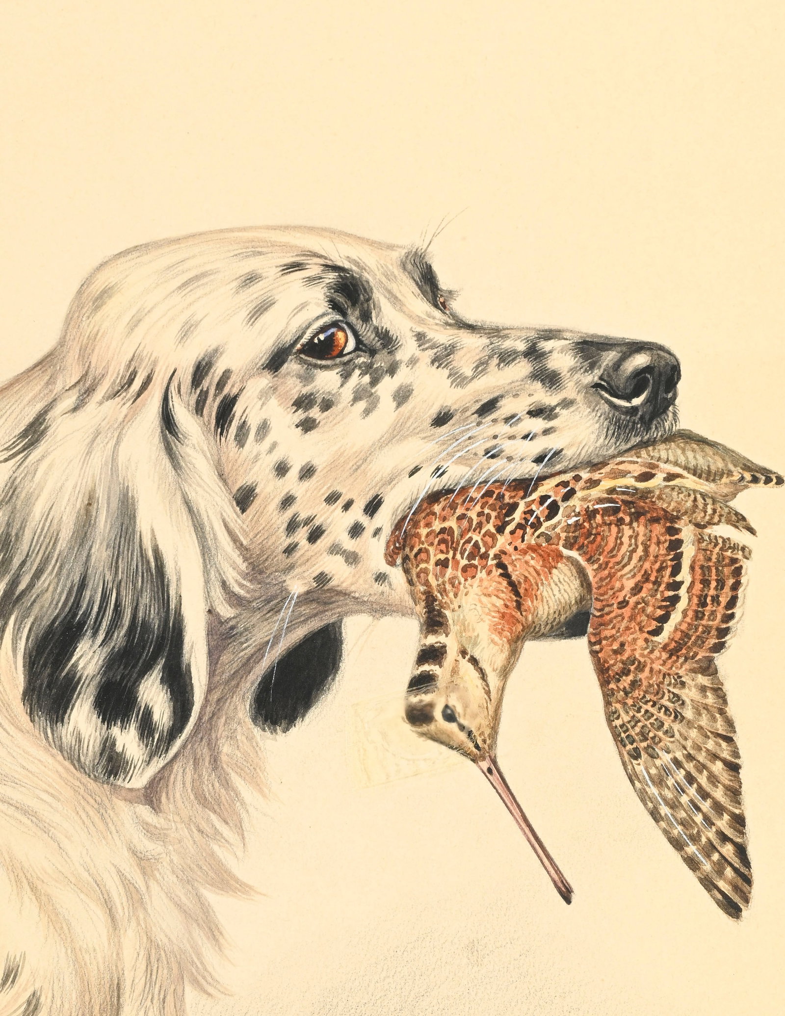 Boris Riab (1898-1975), Cocker au lapin de garenne et Setter à la bécasse des bois, paire  - 7