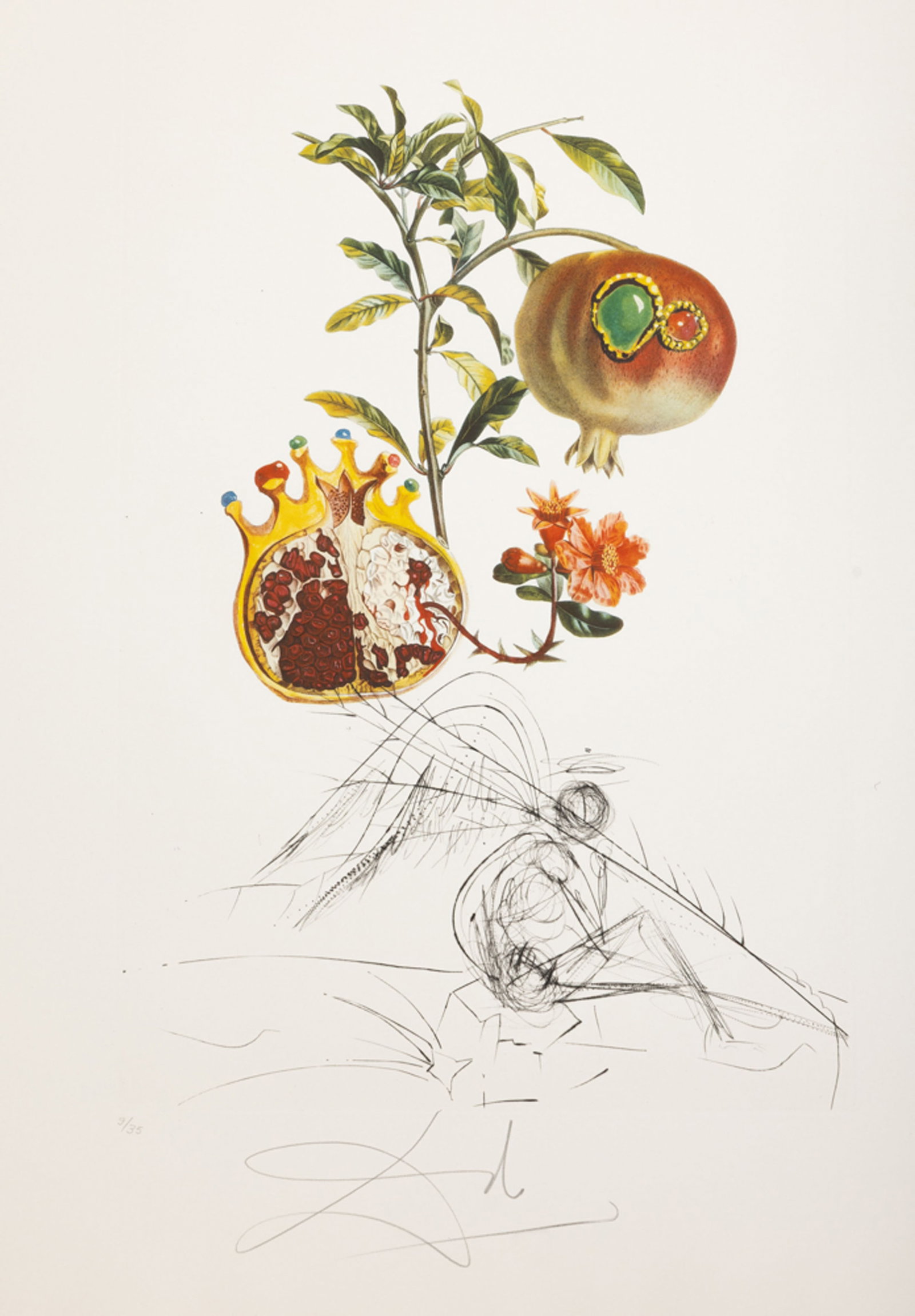 Salvador Dali (1904-1989), "FlorDali - Les Fruits", 1969, 10 pointes-sèches et lithographies en - 10